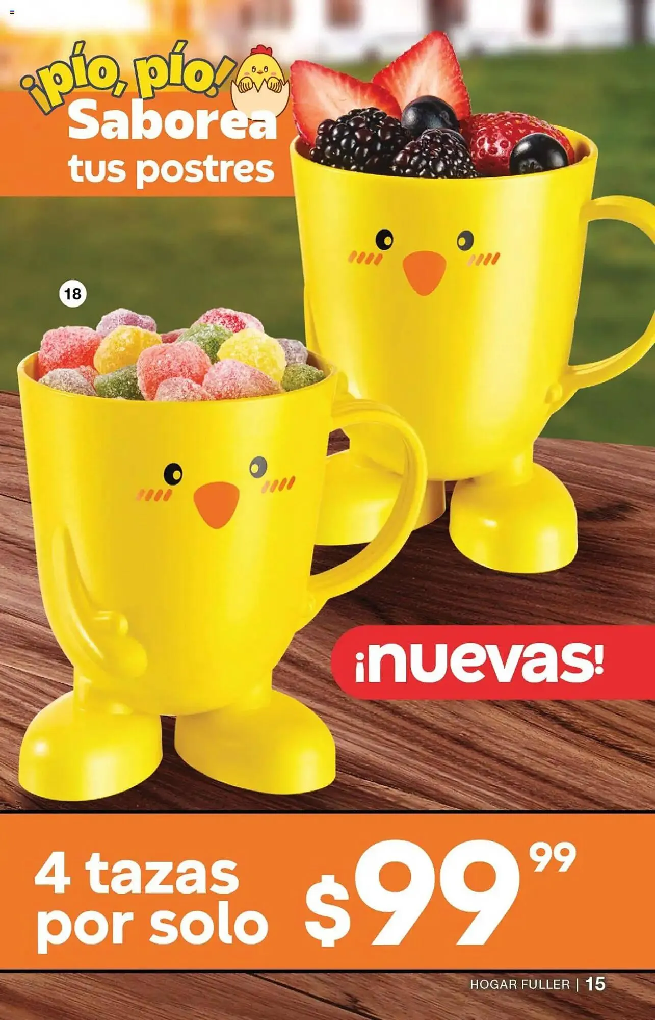 Catálogo de Catálogo Fuller 9 de julio al 30 de julio 2025 - Pagina 17