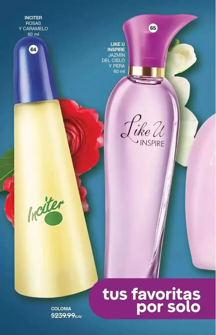 Catálogo de Fuller CAMPAÑA 21 23 de enero al 11 de febrero 2025 - Pagina 34