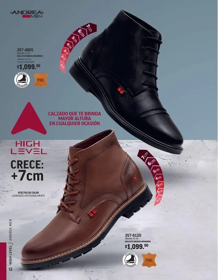Catálogo de ANDREA - CALZADO CABALLERO 26 de agosto al 25 de enero 2025 - Pagina 23