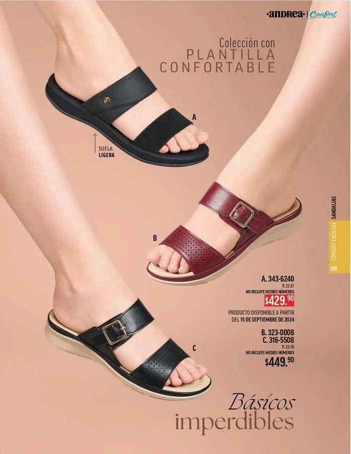 Catálogo de ANDREA - CALZADO CONFORT 26 de agosto al 25 de enero 2025 - Pagina 85