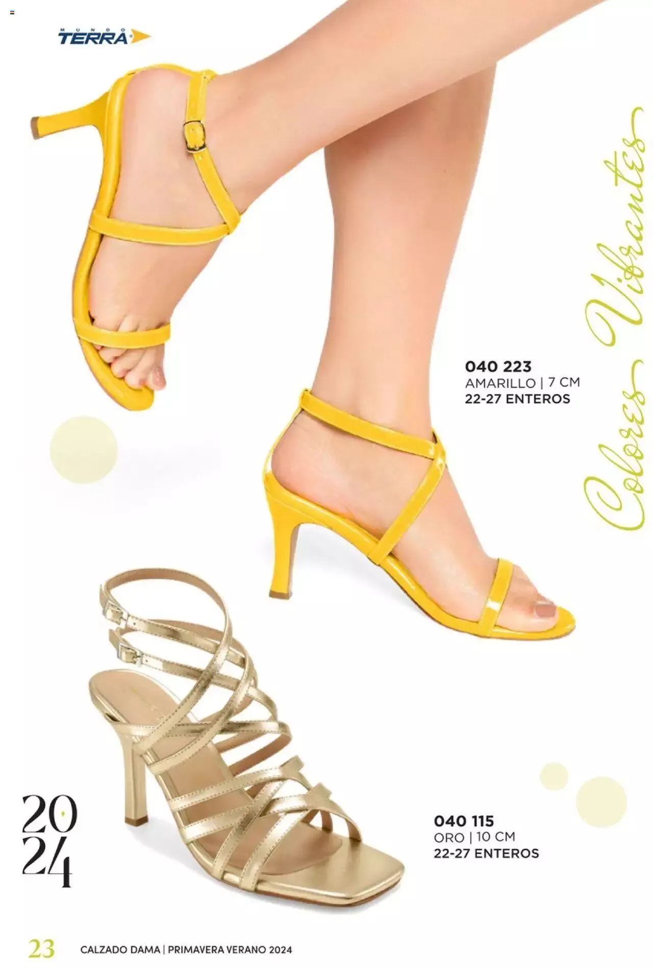 Catálogo de Mundo Terra catálogo 1 de enero al 31 de diciembre 2024 - Pagina 26