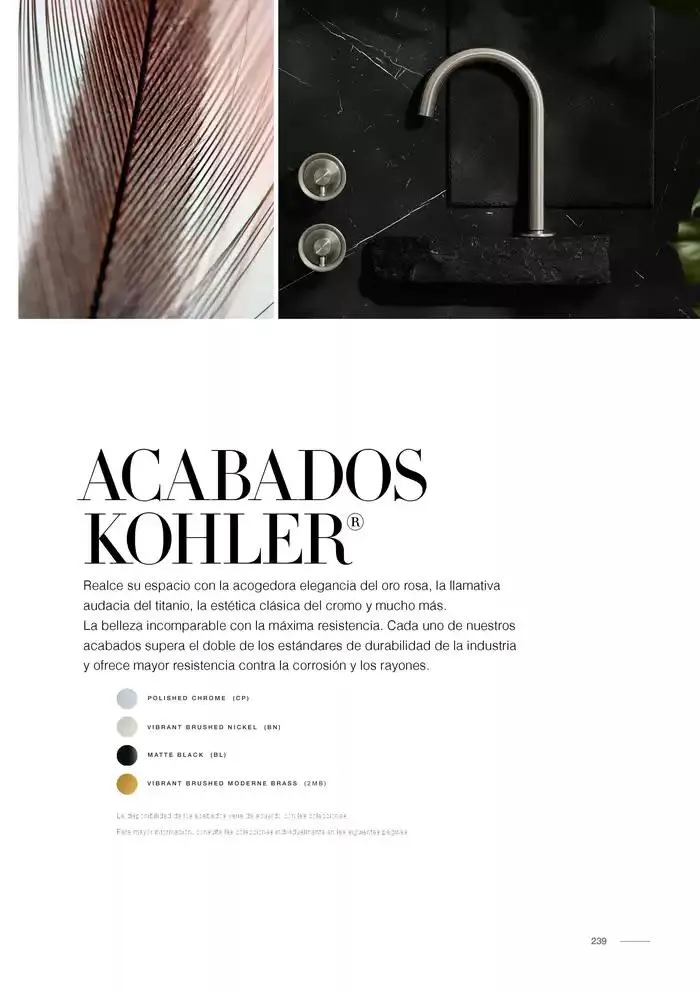 Catálogo de Catálogo Kohler 14 de noviembre al 31 de marzo 2025 - Pagina 279