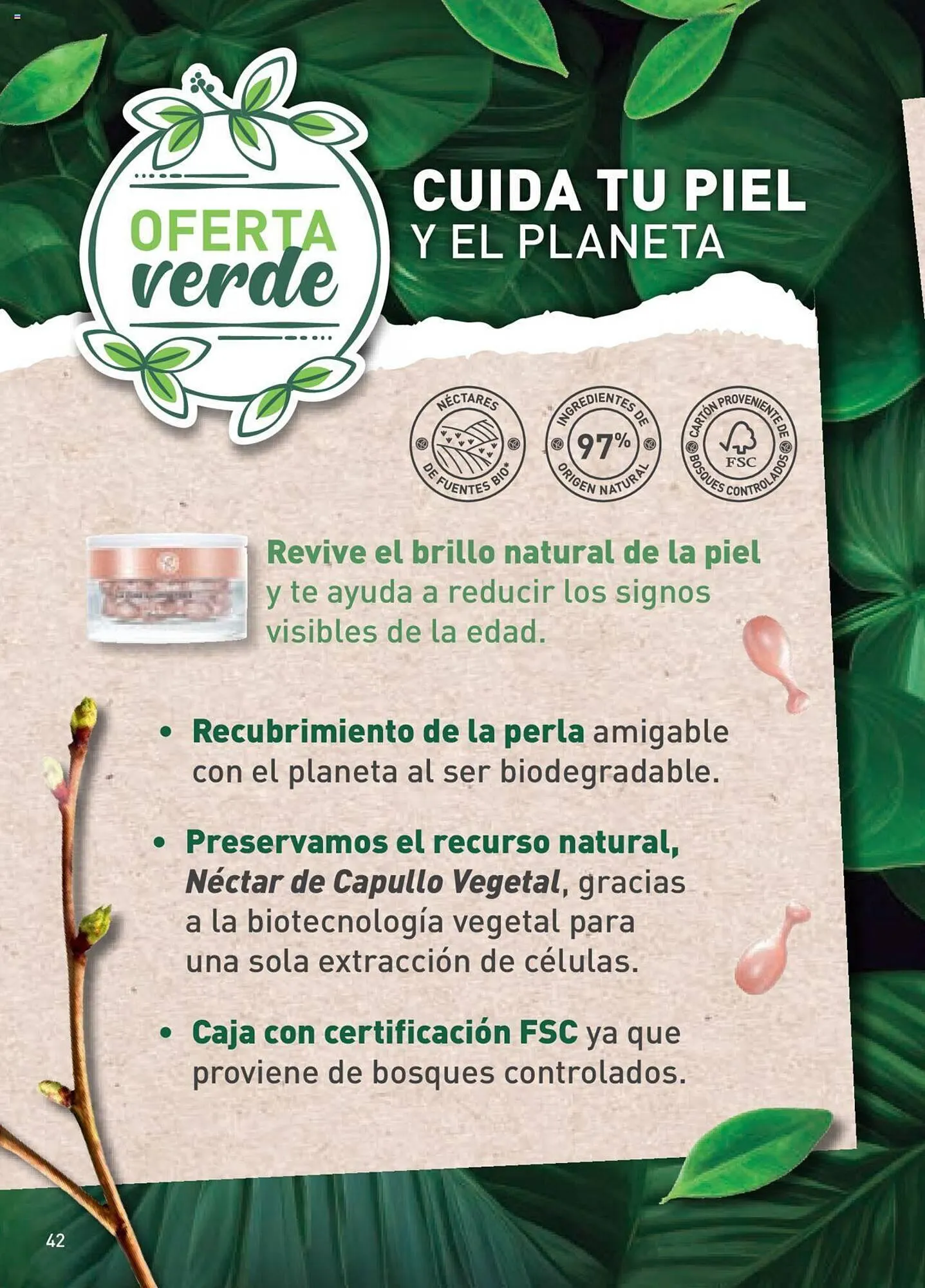 Catálogo de Catálogo Yves Rocher 3 de enero al 22 de enero 2024 - Pagina 42