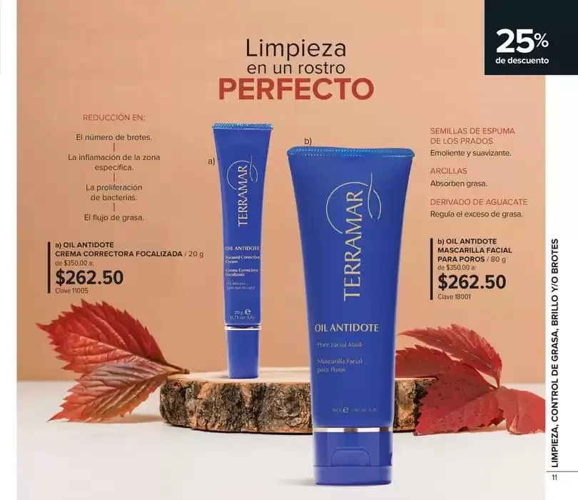 Catálogo de Folleto de mes 3 de octubre al 31 de octubre 2024 - Pagina 11