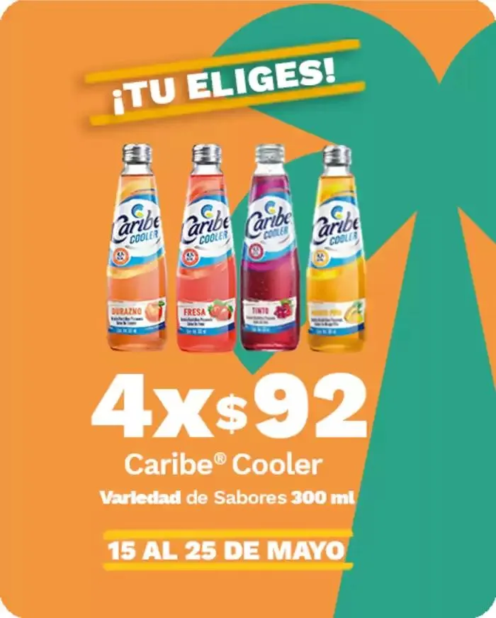 Catálogo de Ofertas especiales atractivas para todos 15 de mayo al 25 de mayo 2025 - Pagina 11