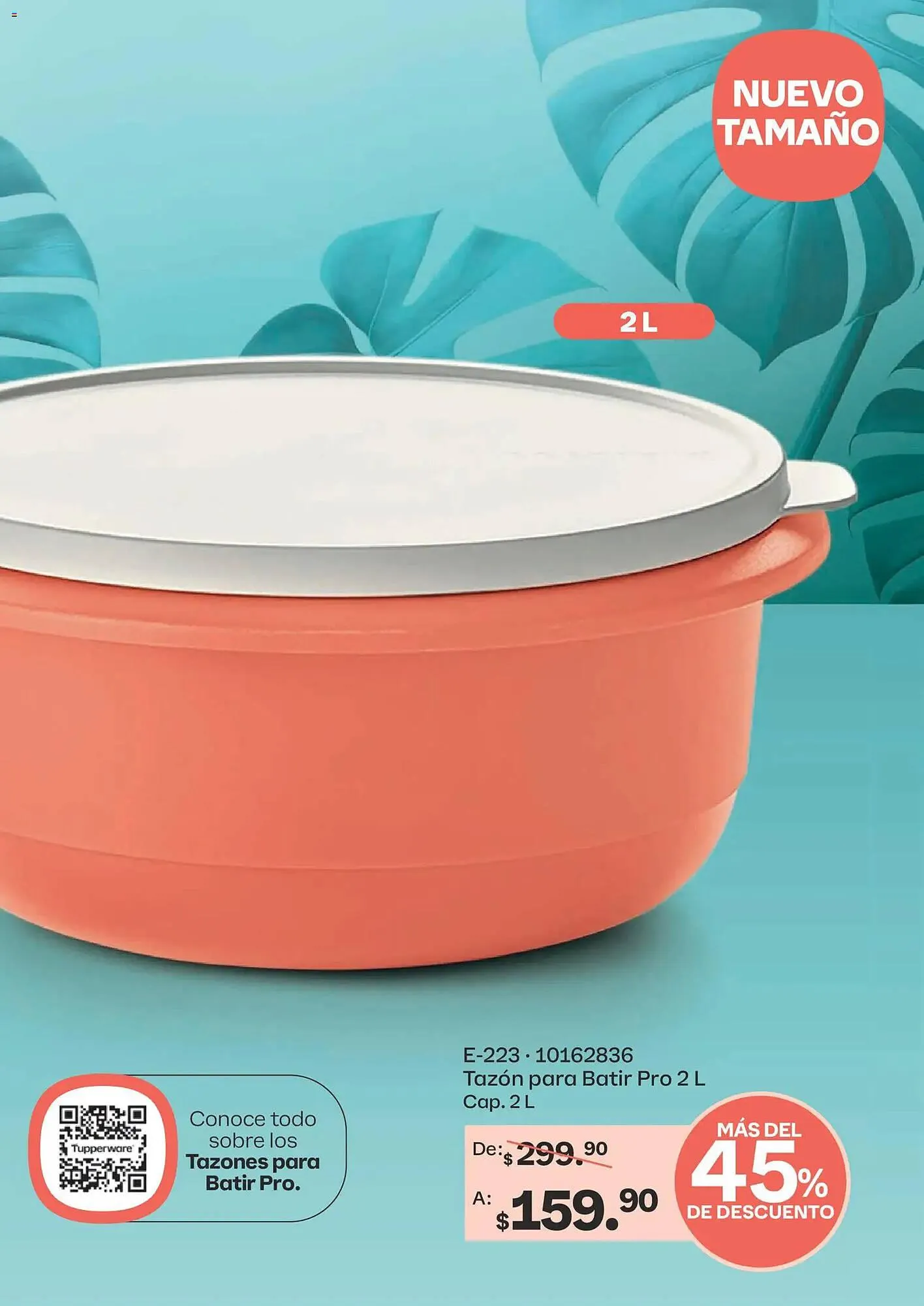 Catálogo de Catálogo Tupperware 23 de febrero al 23 de marzo 2026 - Pagina 45