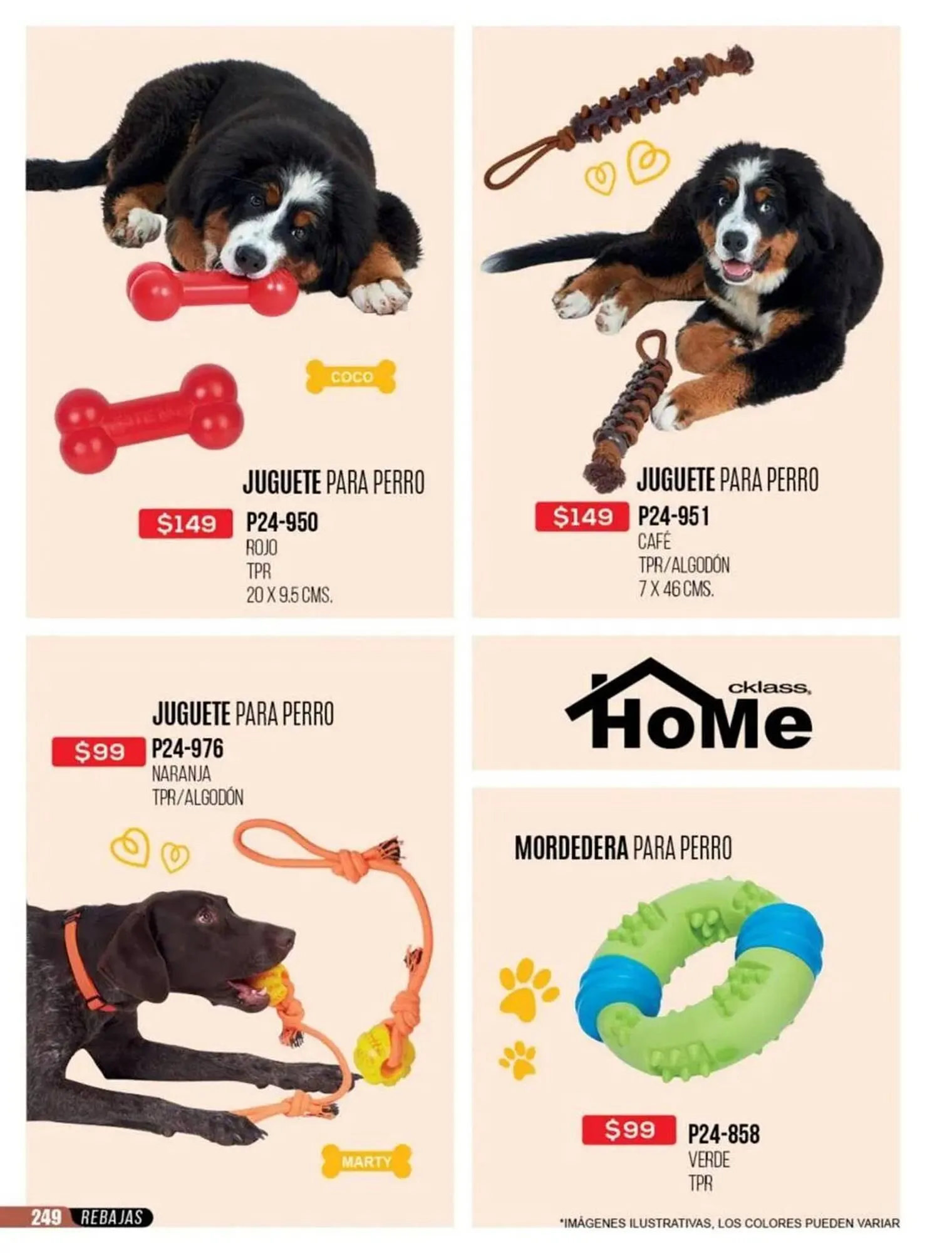 Catálogo de Catálogo Cklass 31 de octubre al 31 de diciembre 2025 - Pagina 252