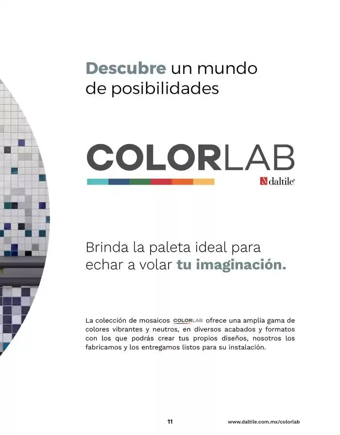 Catálogo de Catalogo 2025 10 de enero al 31 de diciembre 2025 - Pagina 11