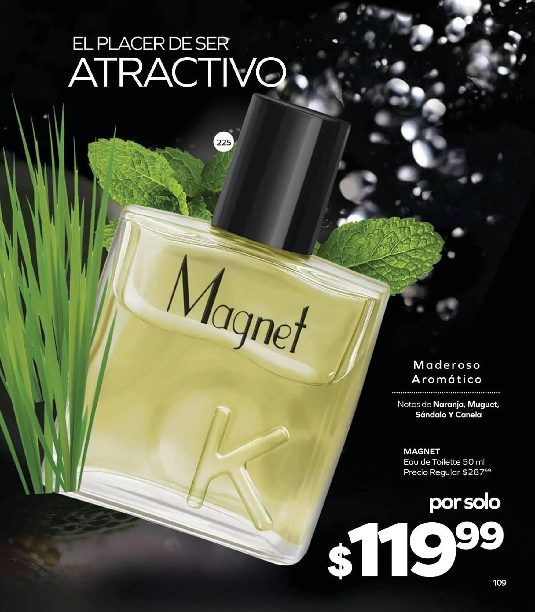 Catálogo de Catálogo Stanhome 17 de diciembre al 3 de enero 2026 - Pagina 111