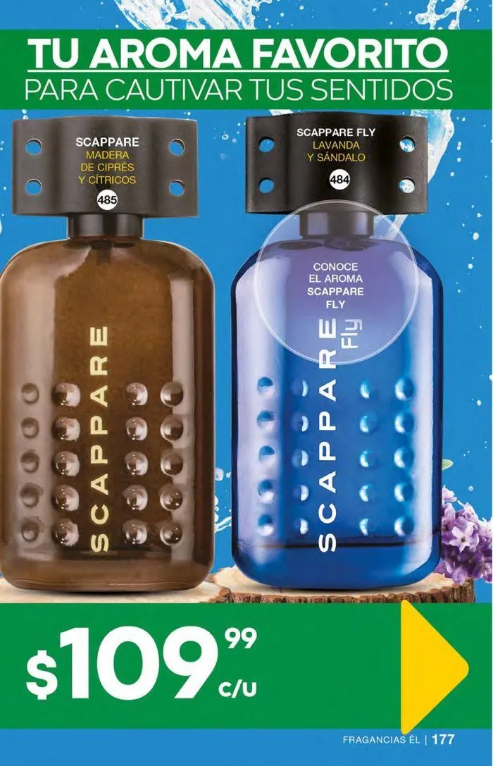 Catálogo de Fuller CAMPAÑA 10 23 de agosto al 10 de septiembre 2024 - Pagina 85