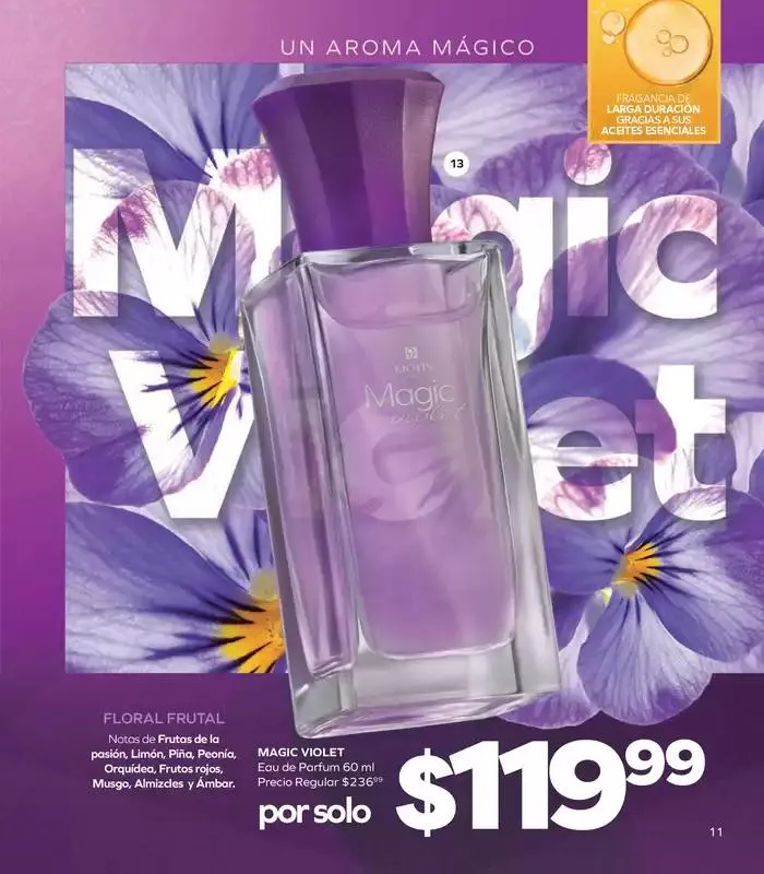 Catálogo de Stanhome - C16 15 de octubre al 1 de noviembre 2024 - Pagina 13