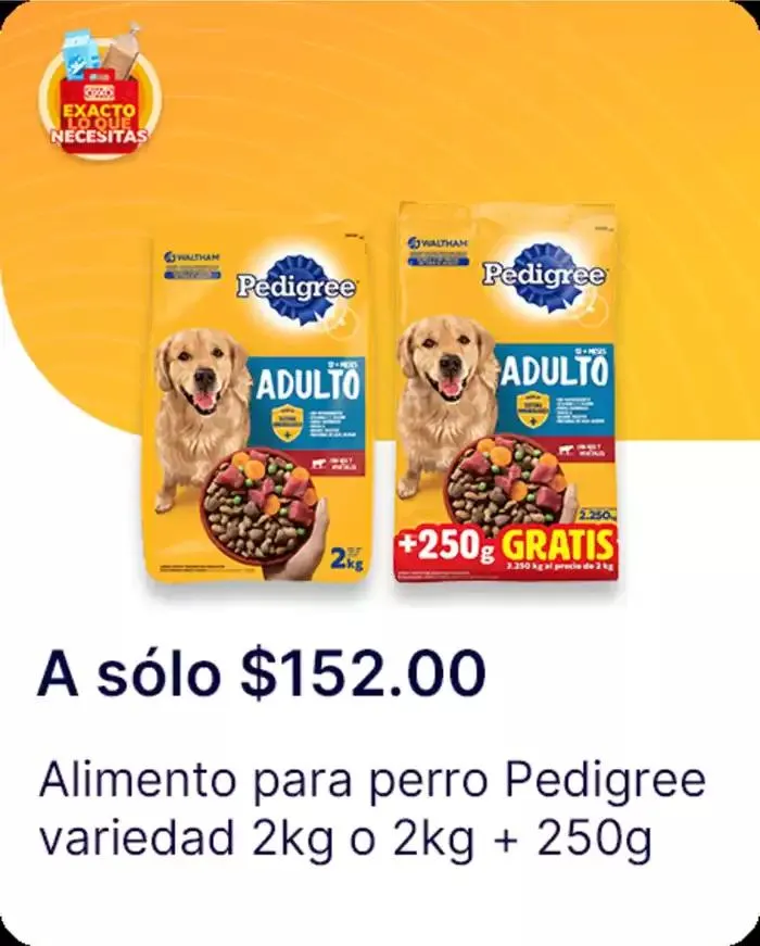 Catálogo de Exacto lo que necesitas 7 de enero al 22 de enero 2025 - Pagina 146
