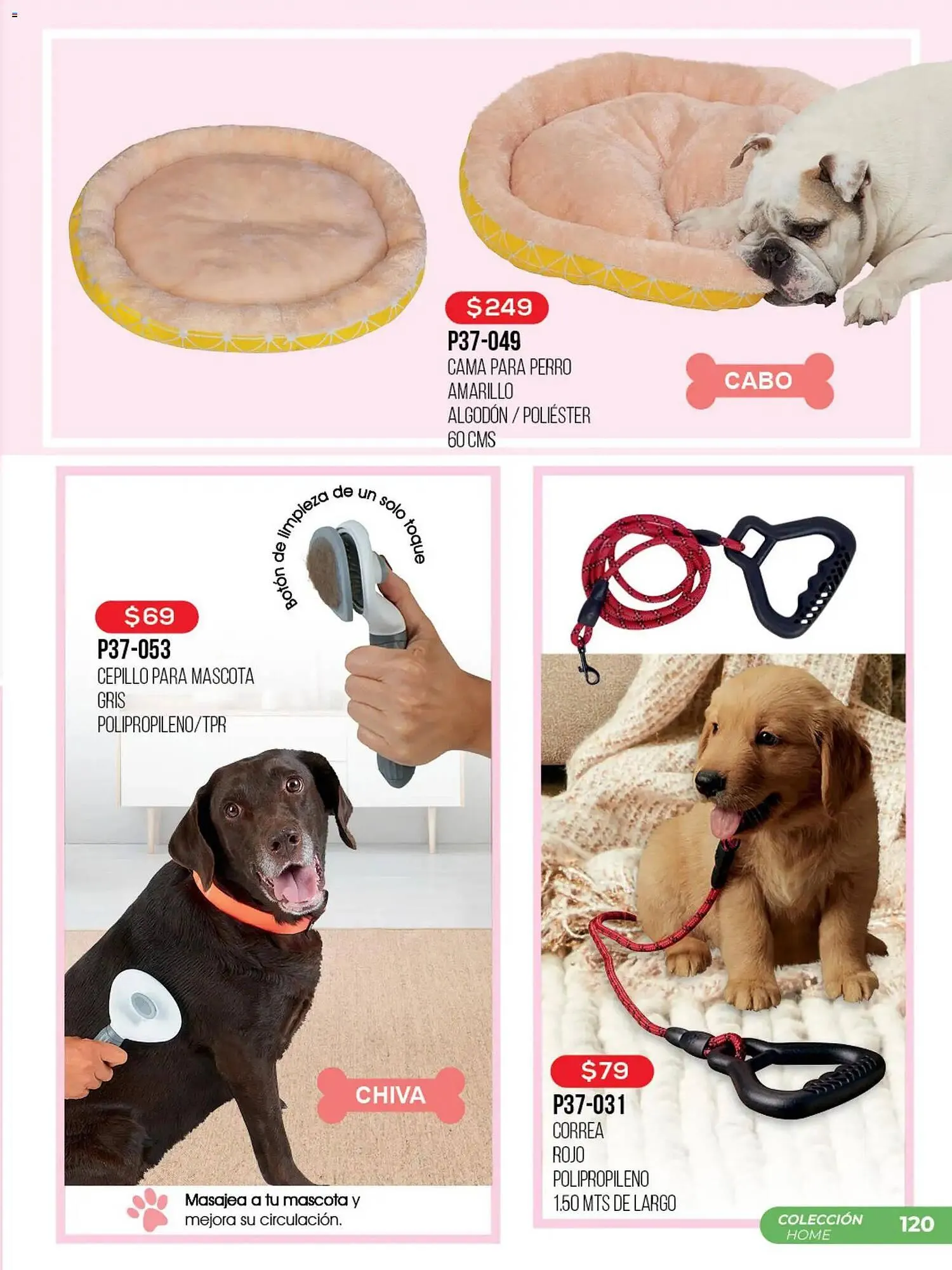 Catálogo de Catálogo Cklass 19 de febrero al 1 de marzo 2026 - Pagina 121