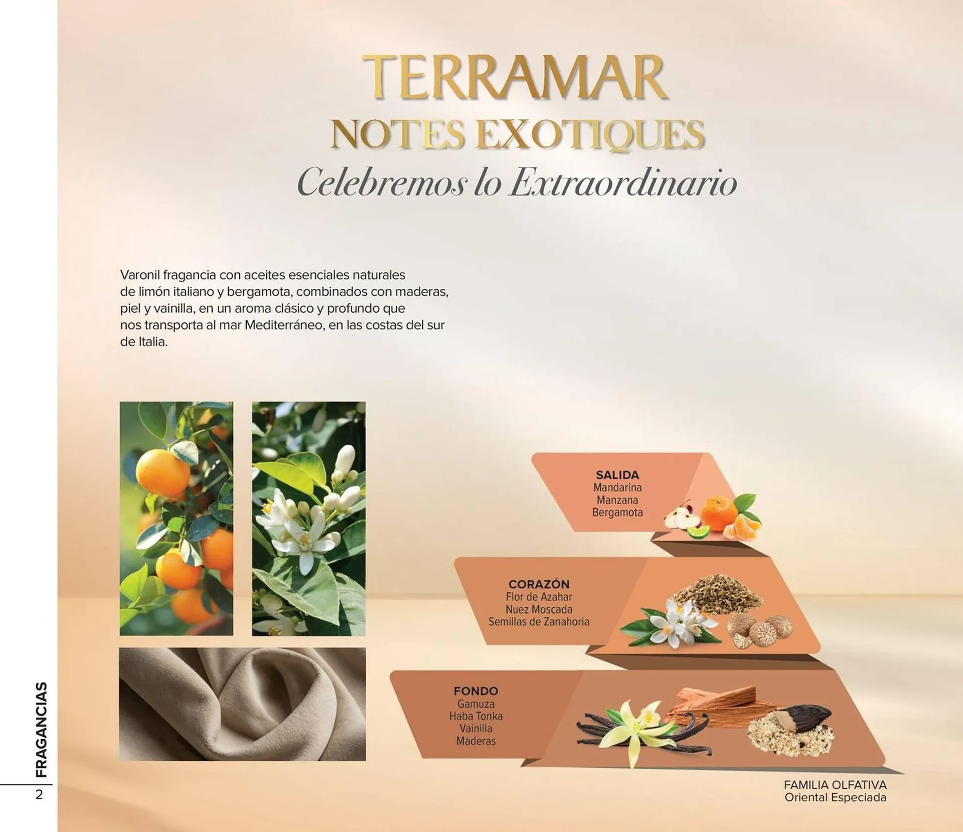 Catálogo de Catálogo Terramar Brands 1 de junio al 30 de junio 2025 - Pagina 2