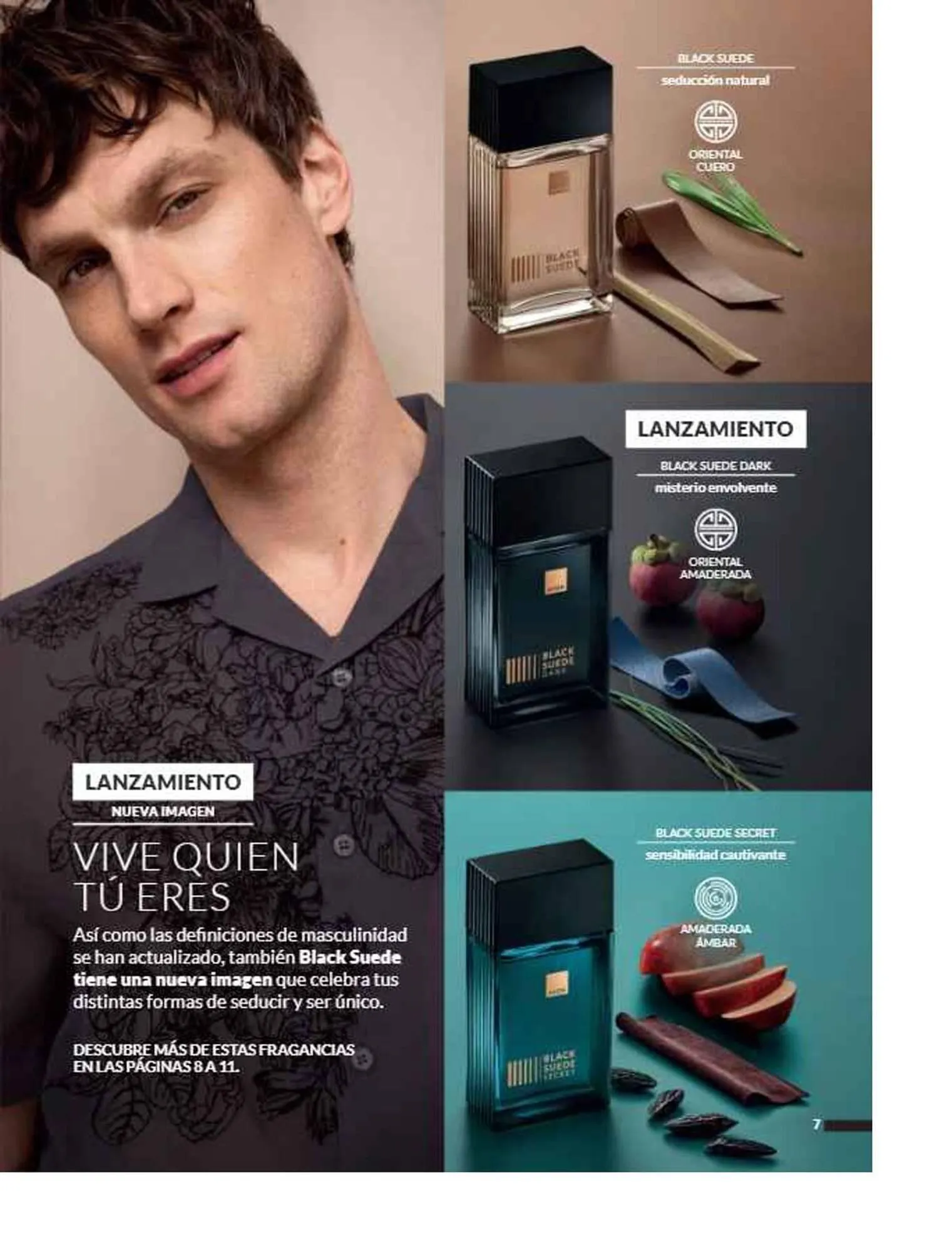 Catálogo de Catálogo Avon 1 de agosto al 31 de agosto 2025 - Pagina 13