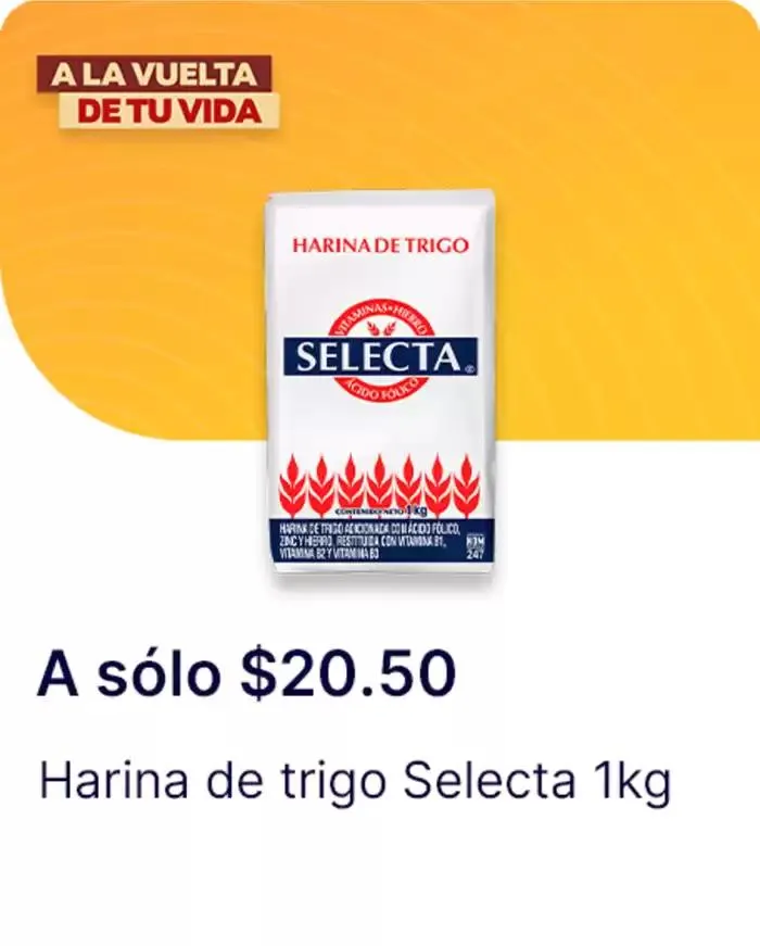 Catálogo de Ofertas principales para todos los cazadores de gangas 11 de diciembre al 25 de diciembre 2024 - Pagina 107