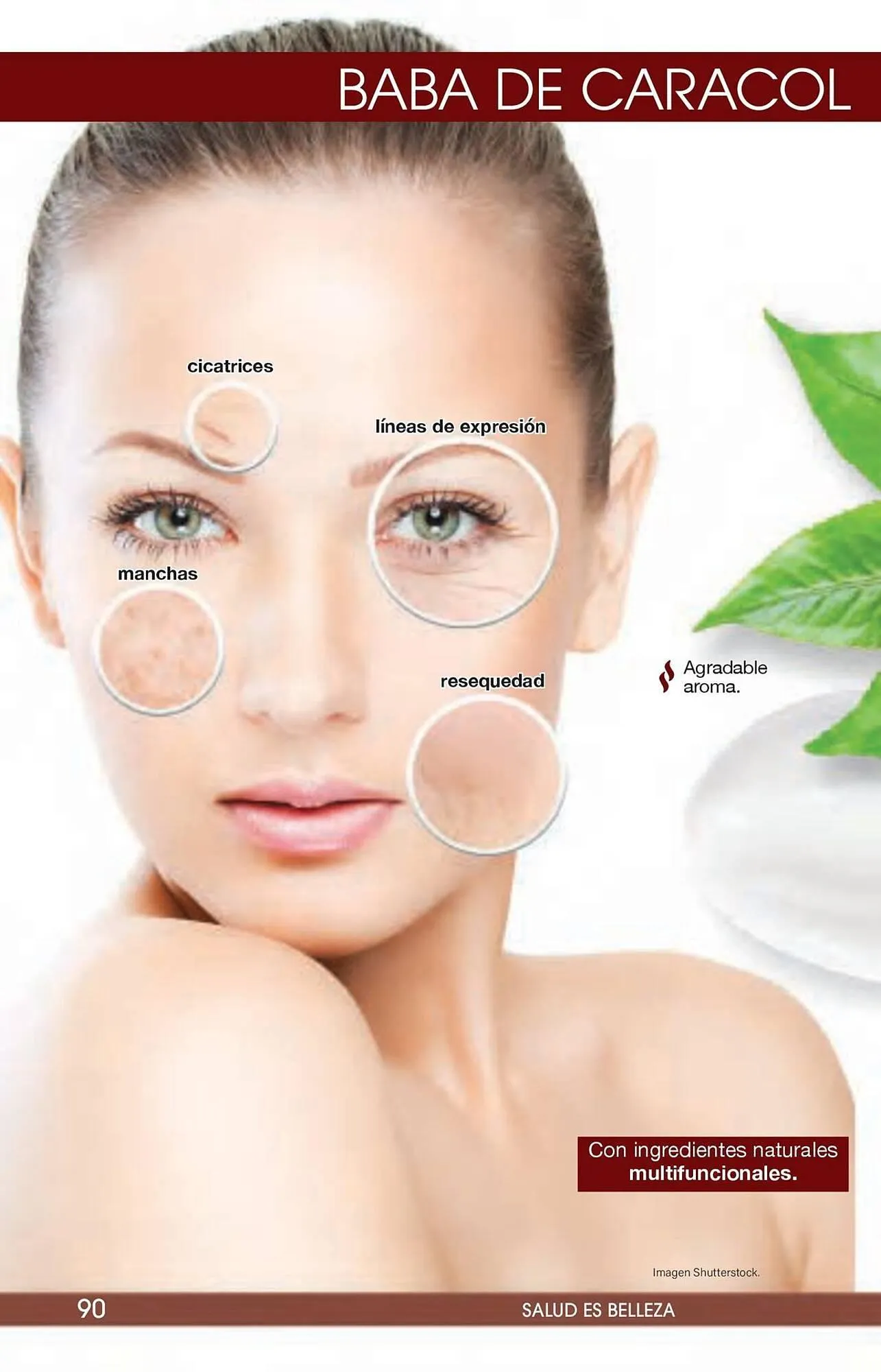 Catálogo de Catálogo Arabela 29 de enero al 19 de febrero 2026 - Pagina 92