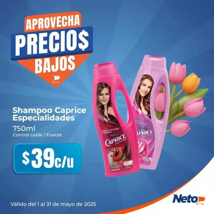 Catálogo de Nuestras mejores ofertas para ti 1 de mayo al 31 de mayo 2025 - Pagina 3