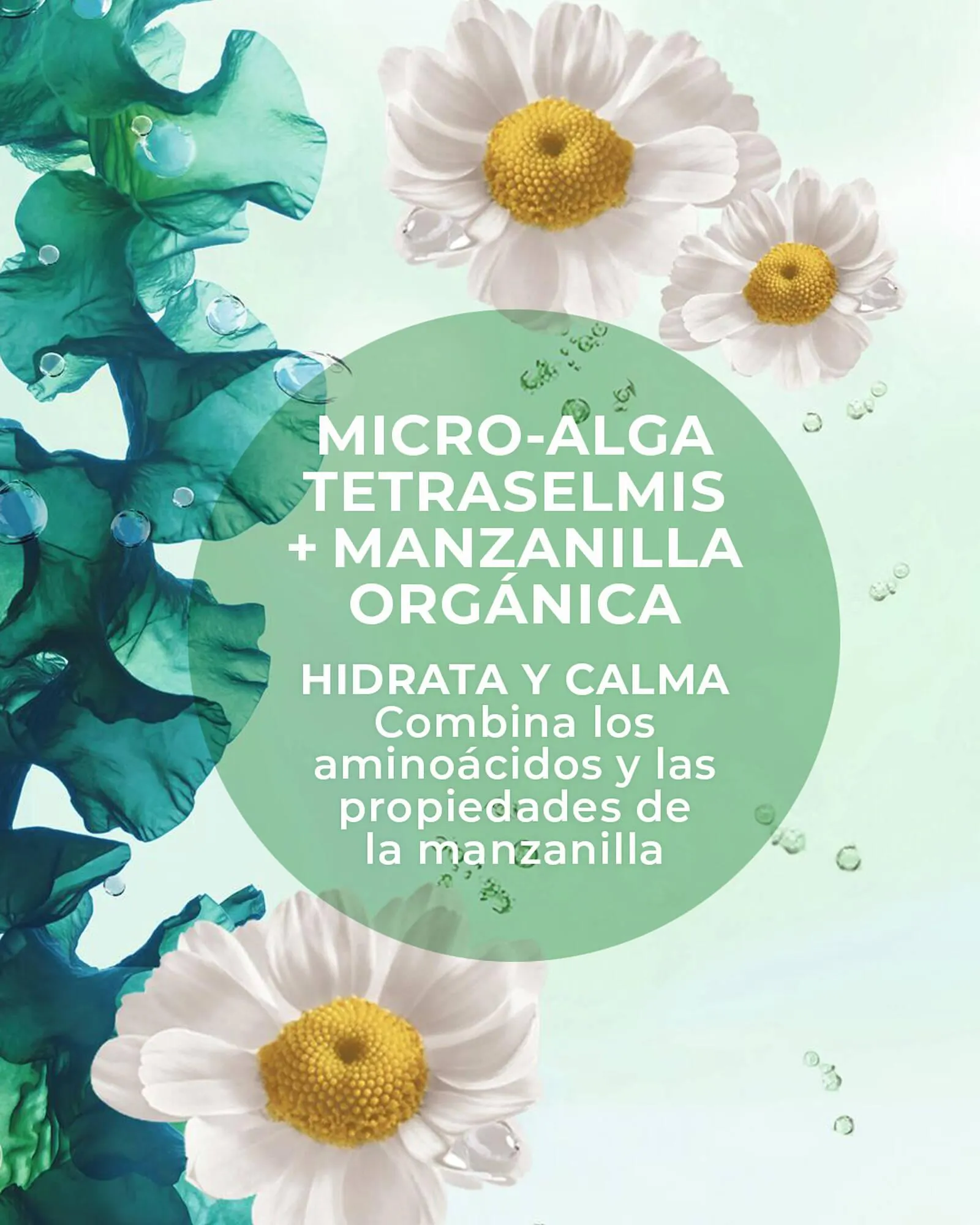 Catálogo de Catálogo Yves Rocher 11 de marzo al 24 de marzo 2026 - Pagina 2