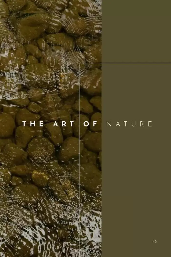 Catálogo de The Art of Luxe 14 de noviembre al 30 de junio 2025 - Pagina 45