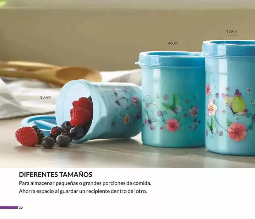 Catálogo de Avon Casa & Estilo C5 6 de febrero al 31 de diciembre 2025 - Pagina 30