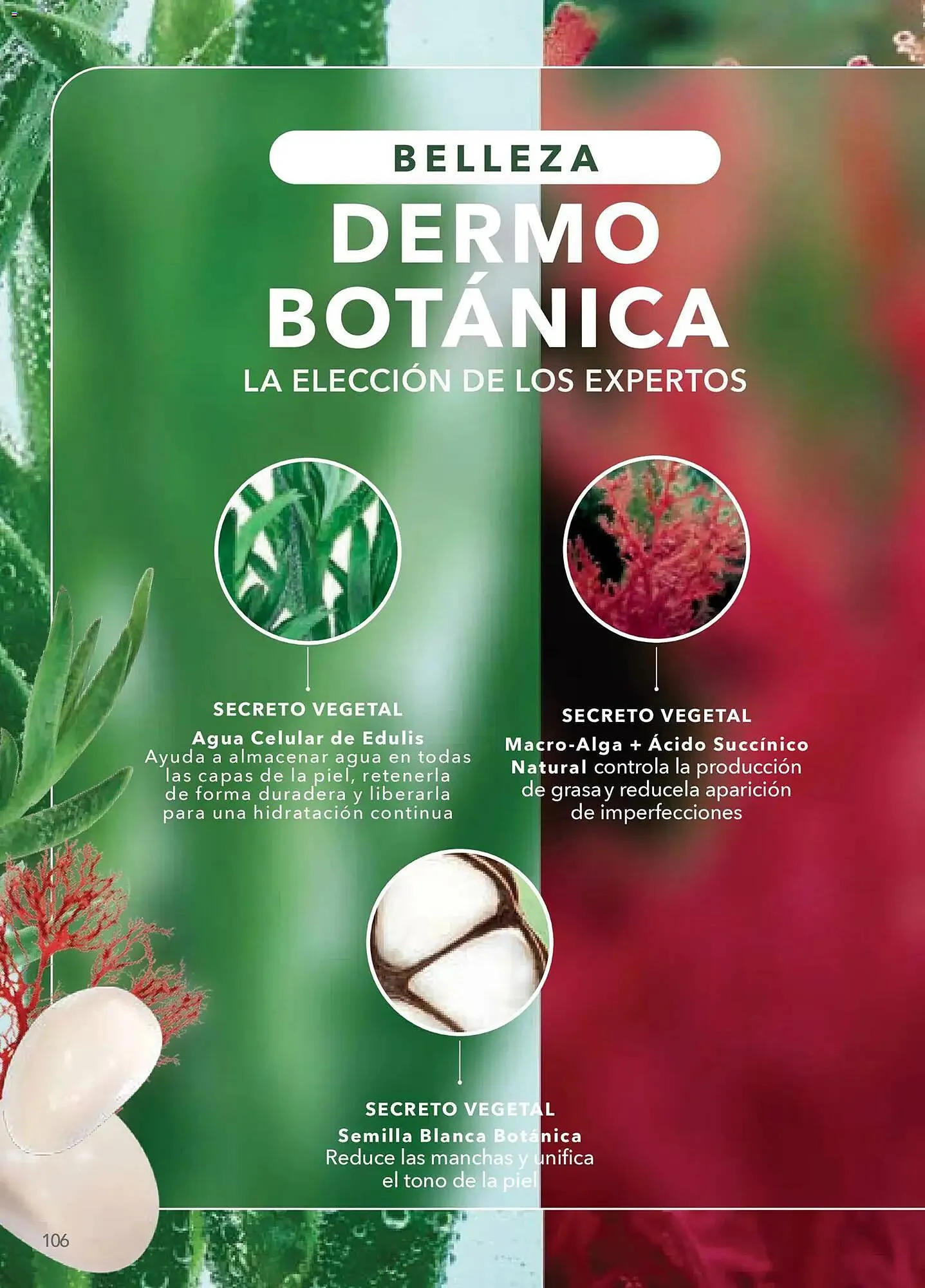 Catálogo de Catálogo Yves Rocher 10 de febrero al 3 de marzo 2026 - Pagina 104