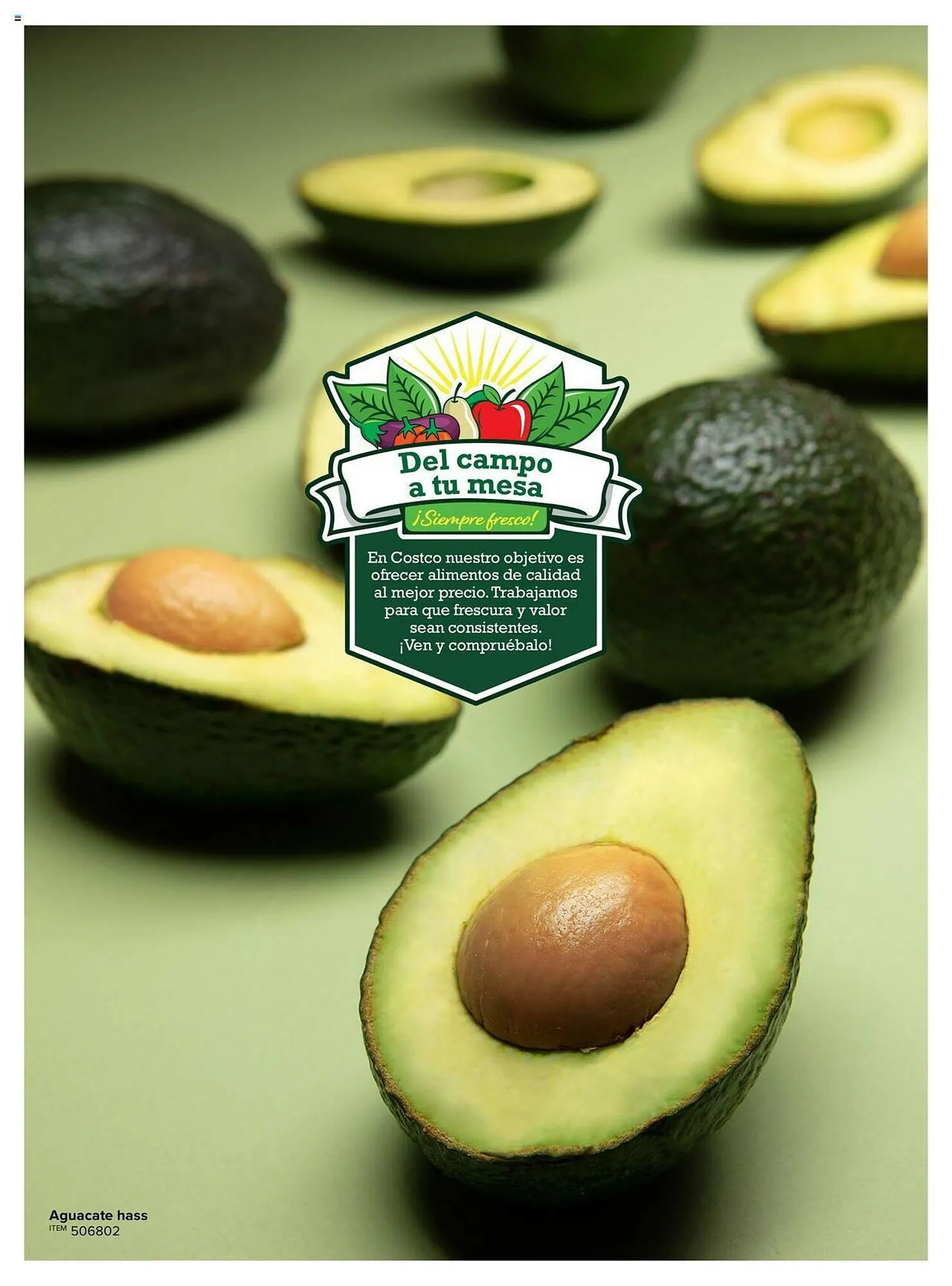 Catálogo de Catálogo Costco 12 de julio al 31 de julio 2023 - Pagina 71