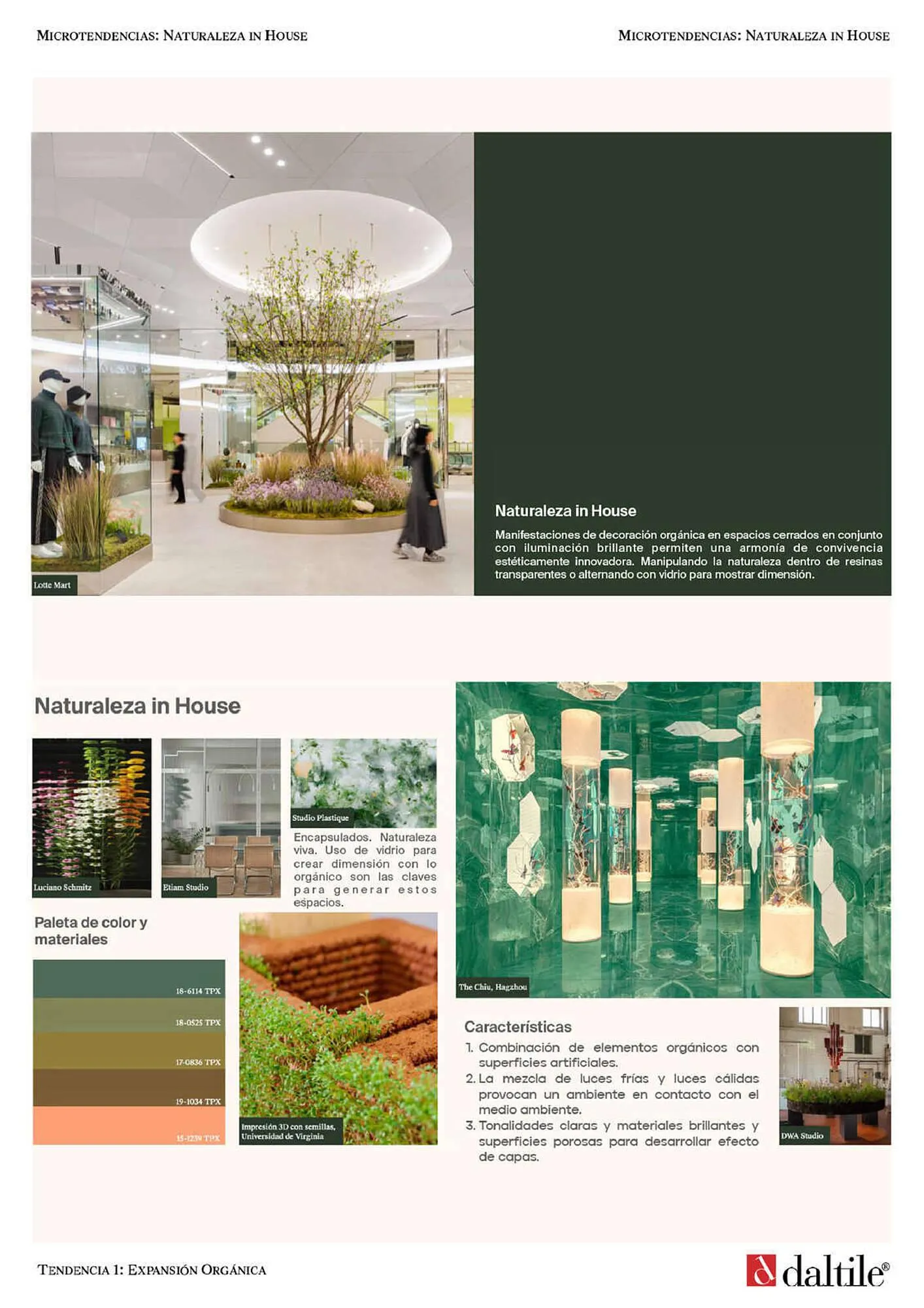 Catálogo de Catálogo Daltile 28 de septiembre al 31 de enero 2024 - Pagina 10