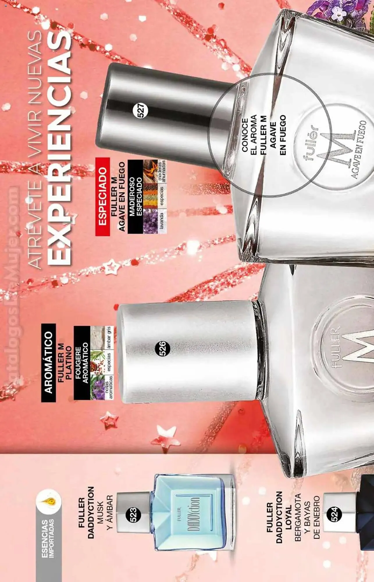 Catálogo de Catálogo Fuller 26 de noviembre al 17 de diciembre 2025 - Pagina 170