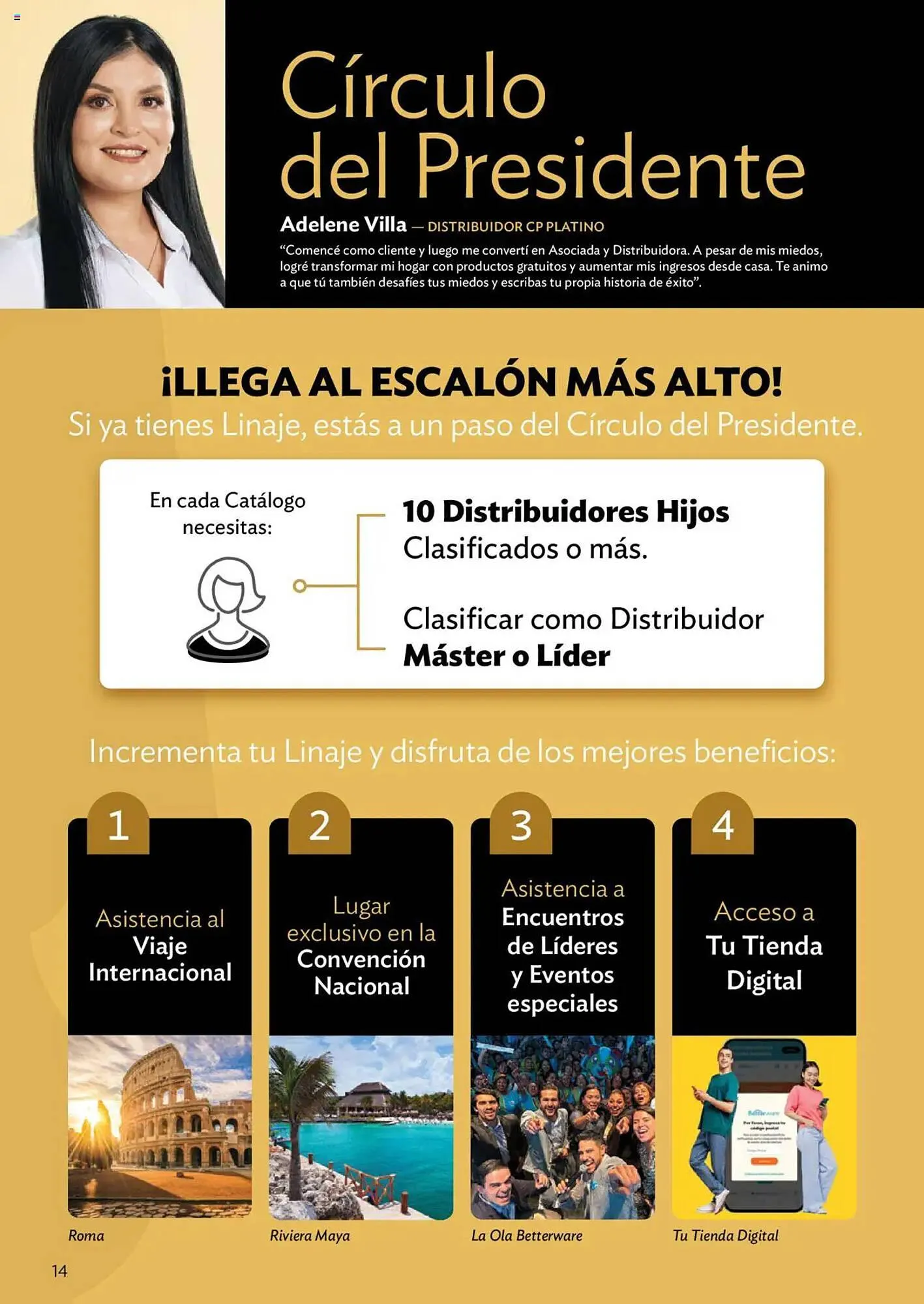 Catálogo de Catálogo BetterWare 1 de enero al 31 de enero 2025 - Pagina 14