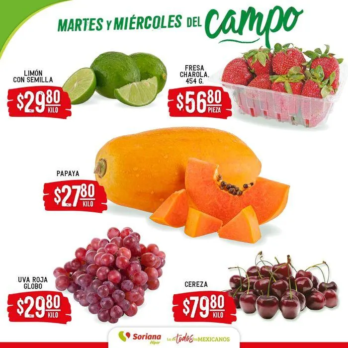 Catálogo de Martes y Miércoles del Campo Híper 30 de julio al 31 de julio 2024 - Pagina 2