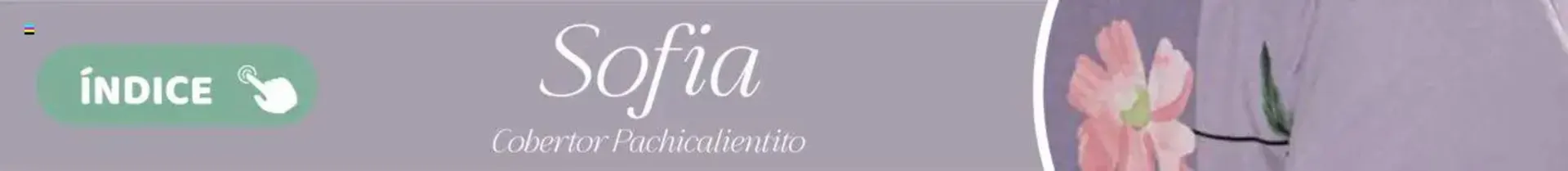 Catálogo de Catálogo Colchas Concord 1 de agosto al 1 de noviembre 2025 - Pagina 736