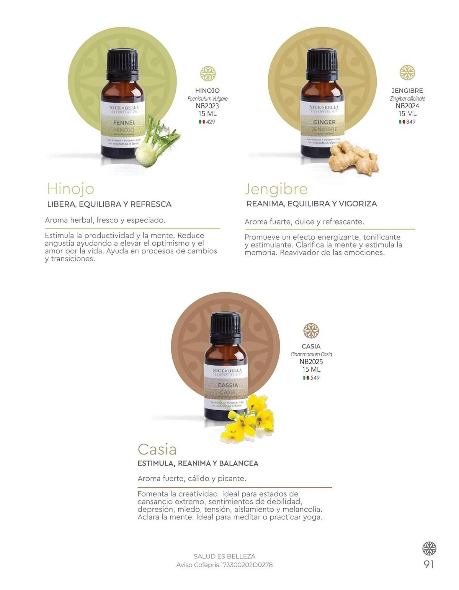 Catálogo de Catálogo Nice 7 de abril al 30 de abril 2025 - Pagina 93