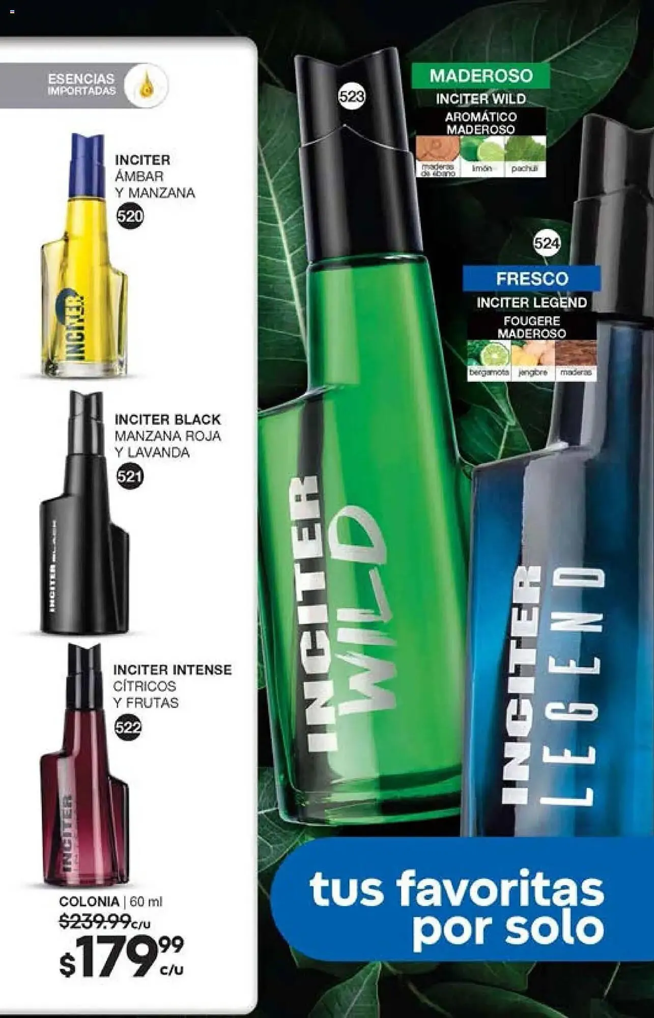 Catálogo de Catálogo Fuller 15 de octubre al 5 de noviembre 2025 - Pagina 174