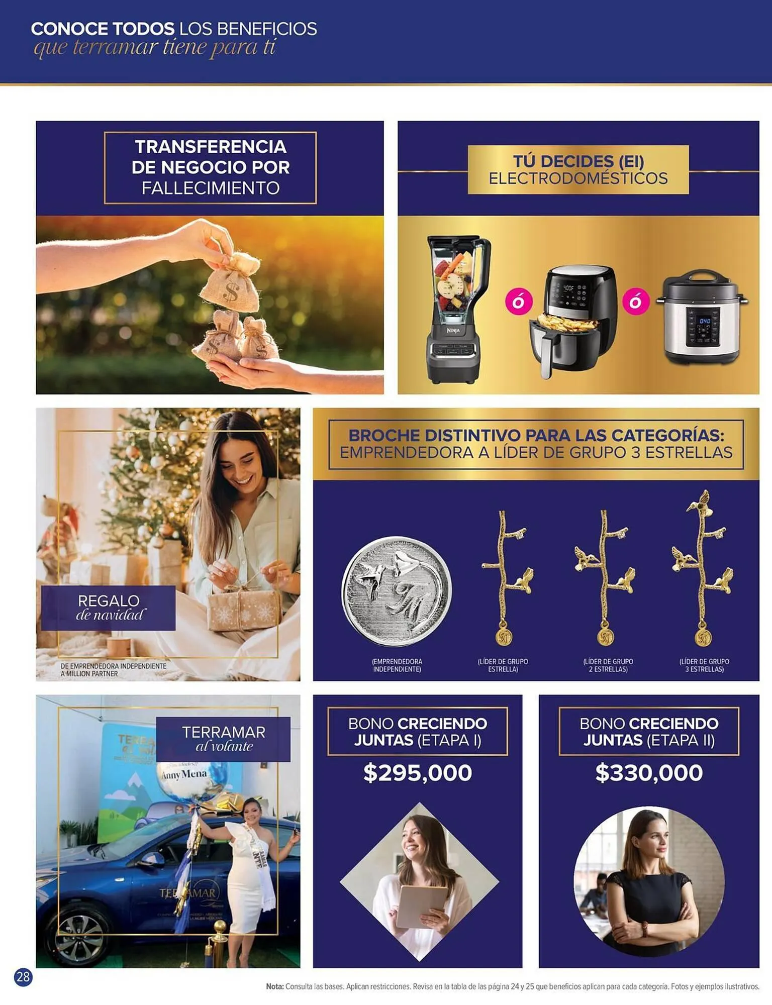 Catálogo de Catálogo Terramar Brands 4 de enero al 31 de enero 2024 - Pagina 28