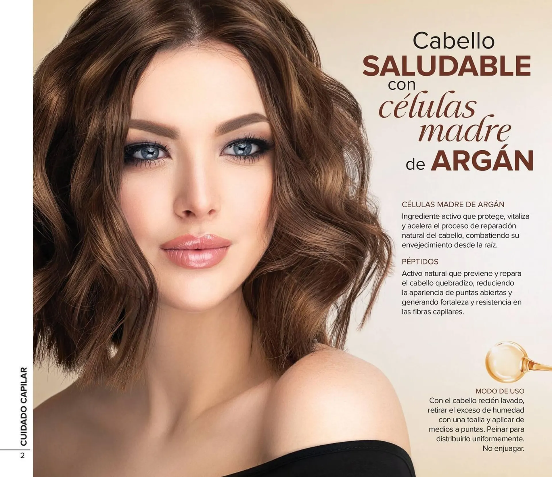 Catálogo de Catálogo Terramar Brands 1 de julio al 31 de julio 2025 - Pagina 2