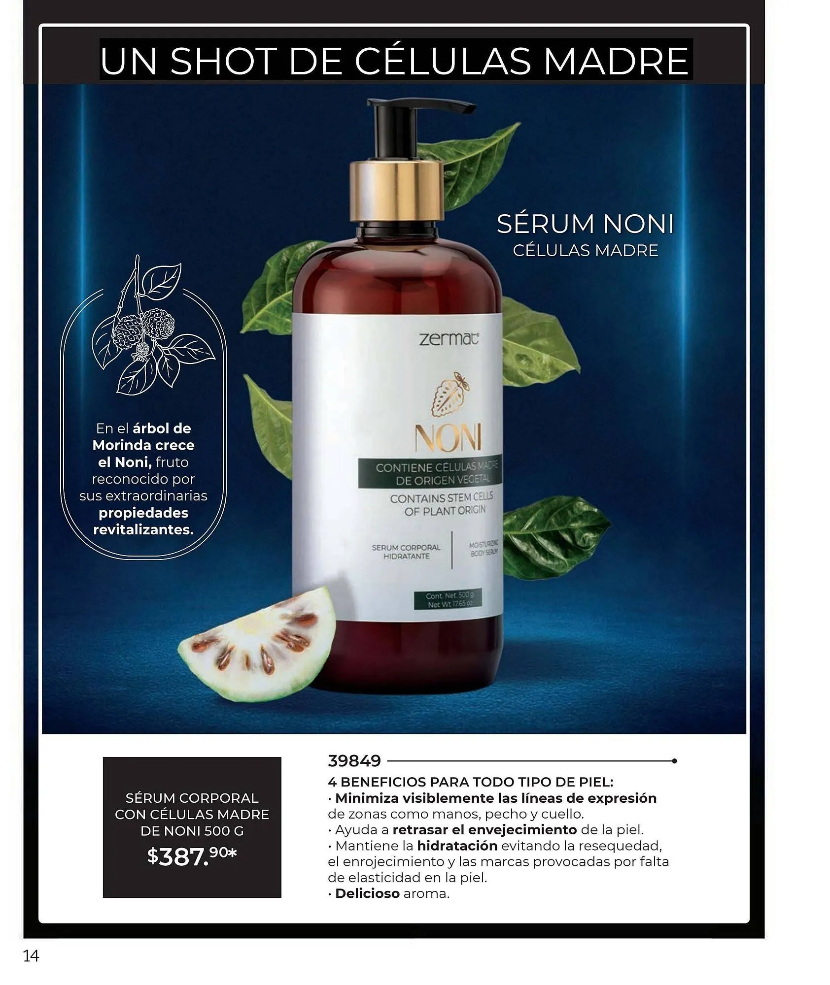 Catálogo de Catálogo Zermat 1 de febrero al 28 de febrero 2026 - Pagina 111