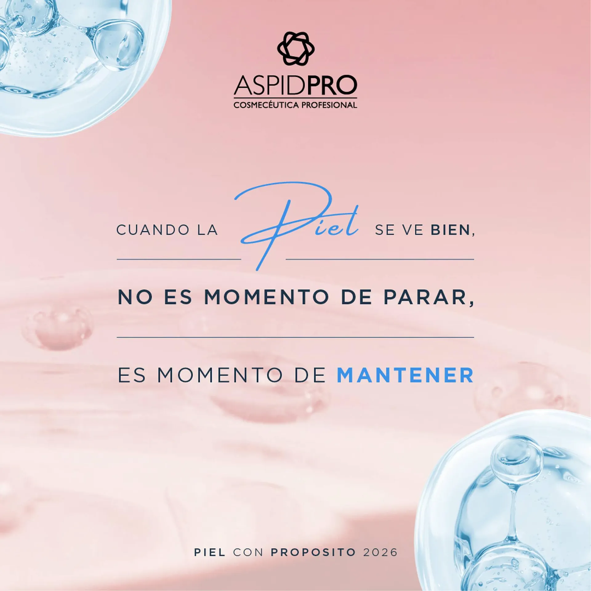 Catálogo de Catálogo AspidPro 15 de enero al 31 de enero 2026 - Pagina 4