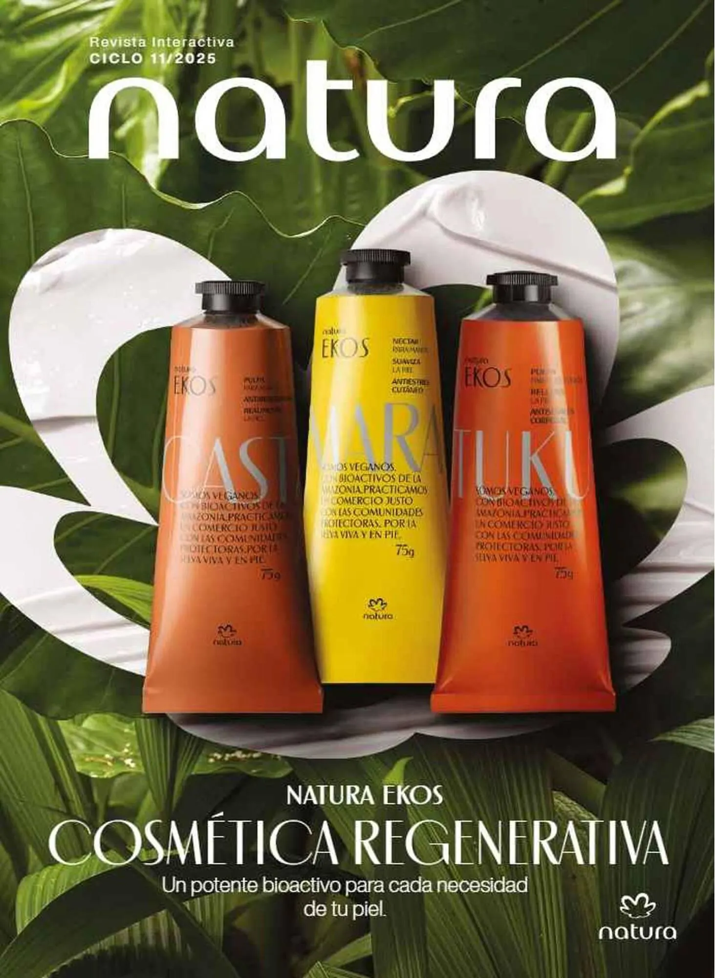 Catálogo Natura - 1