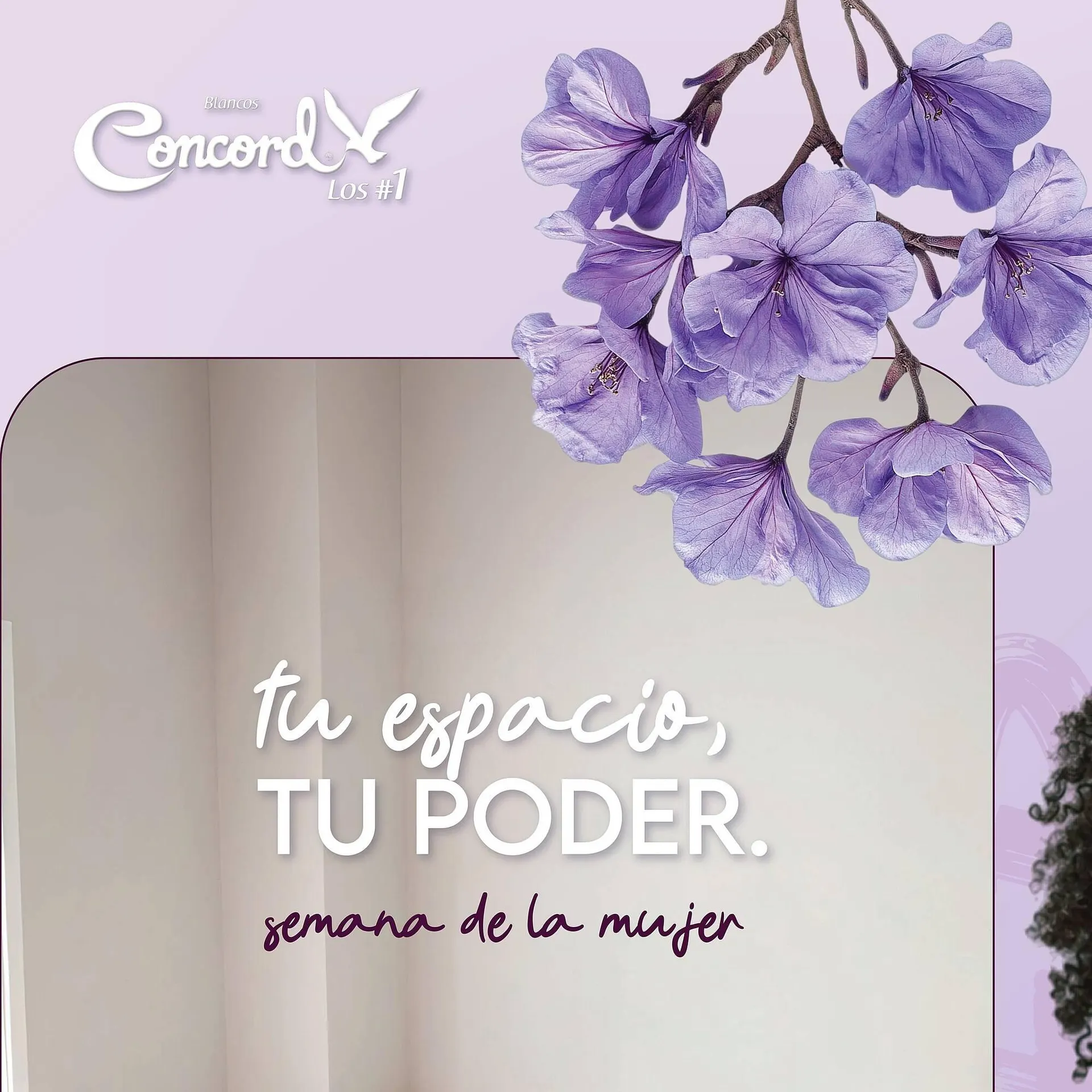 Catálogo de Catálogo Colchas Concord 3 de marzo al 31 de marzo 2026 - Pagina 1