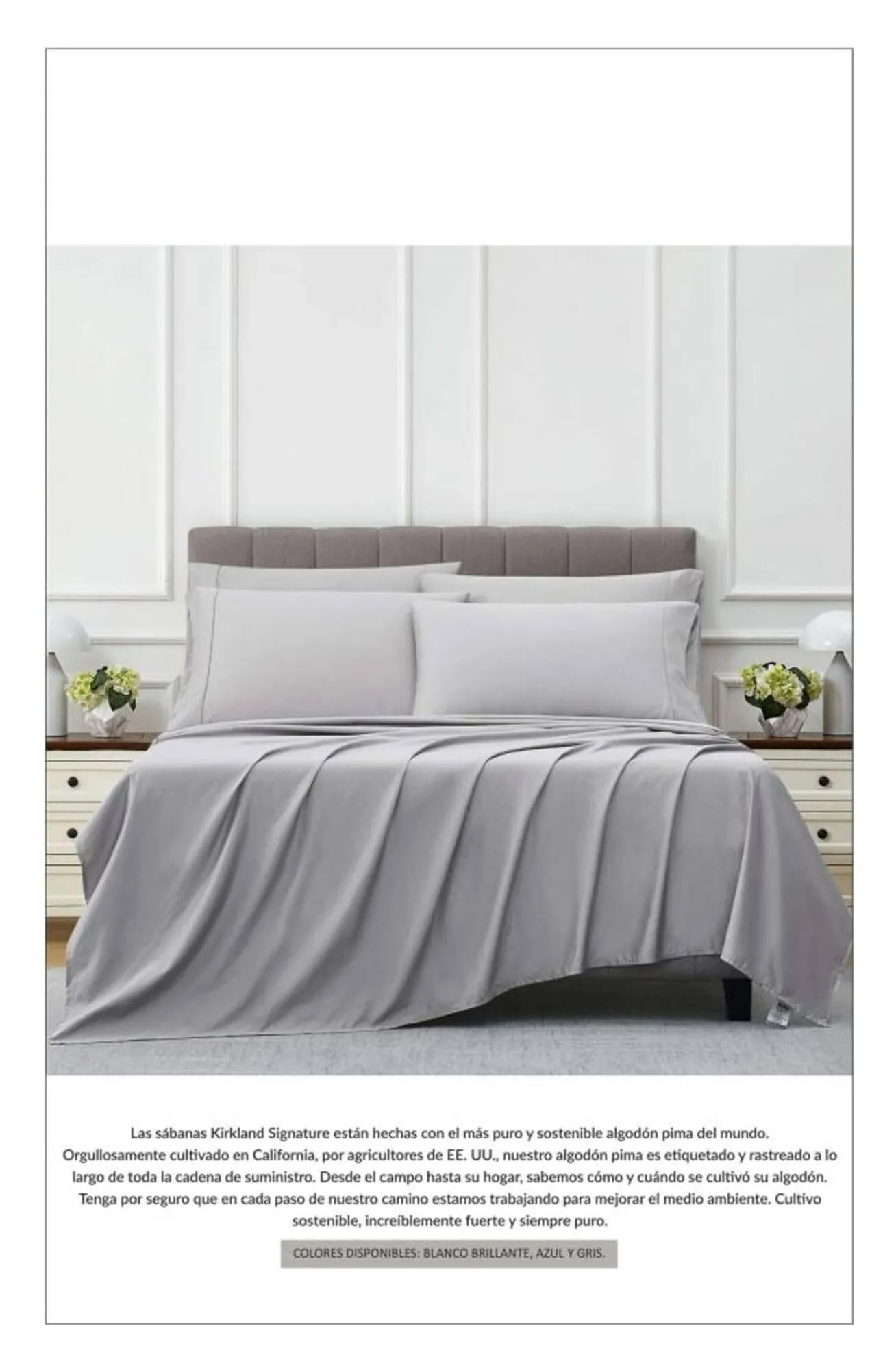 Catálogo de Catálogo Costco 1 de julio al 31 de julio 2025 - Pagina 41