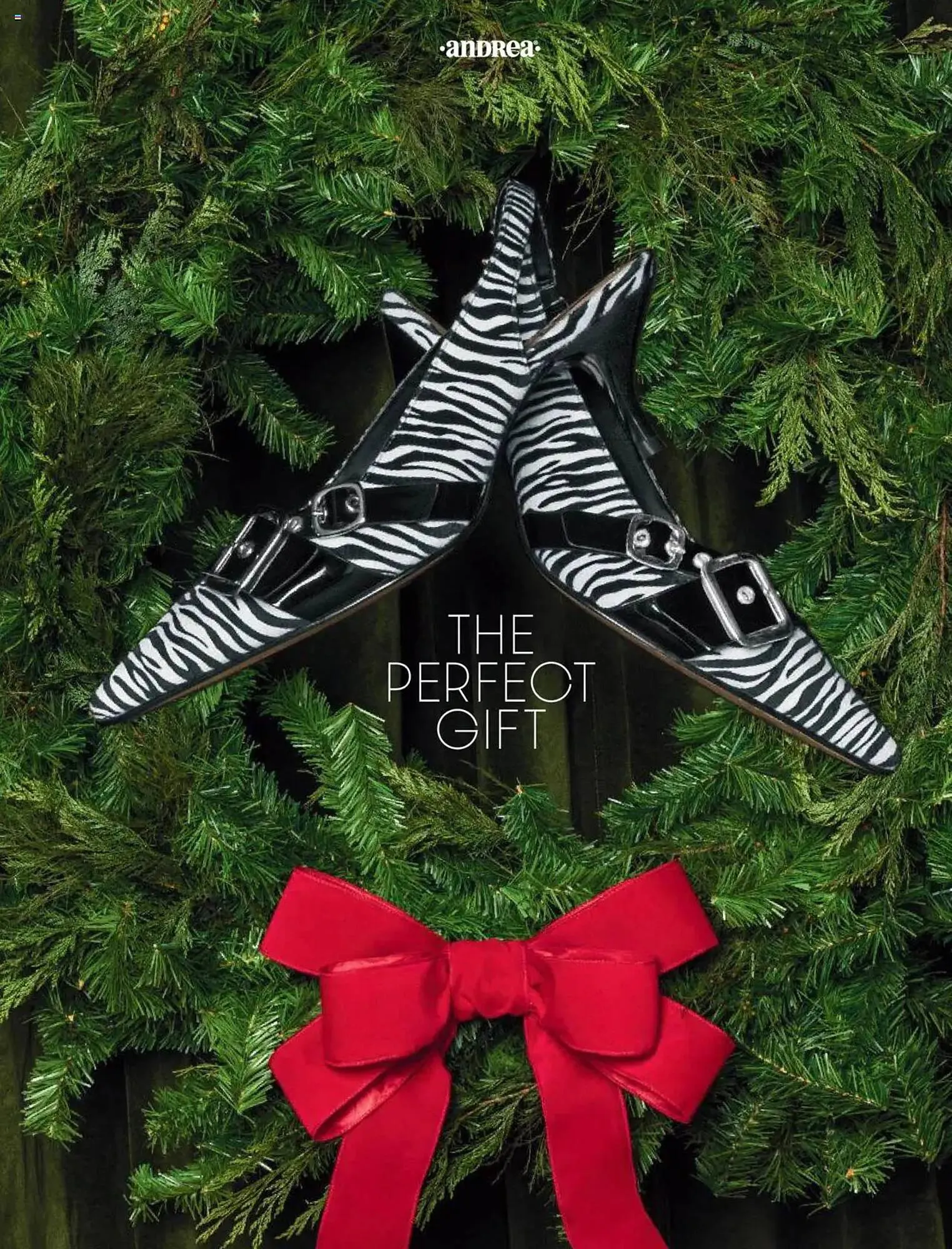 Catálogo de Catálogo Andrea 13 de octubre al 25 de enero 2026 - Pagina 3