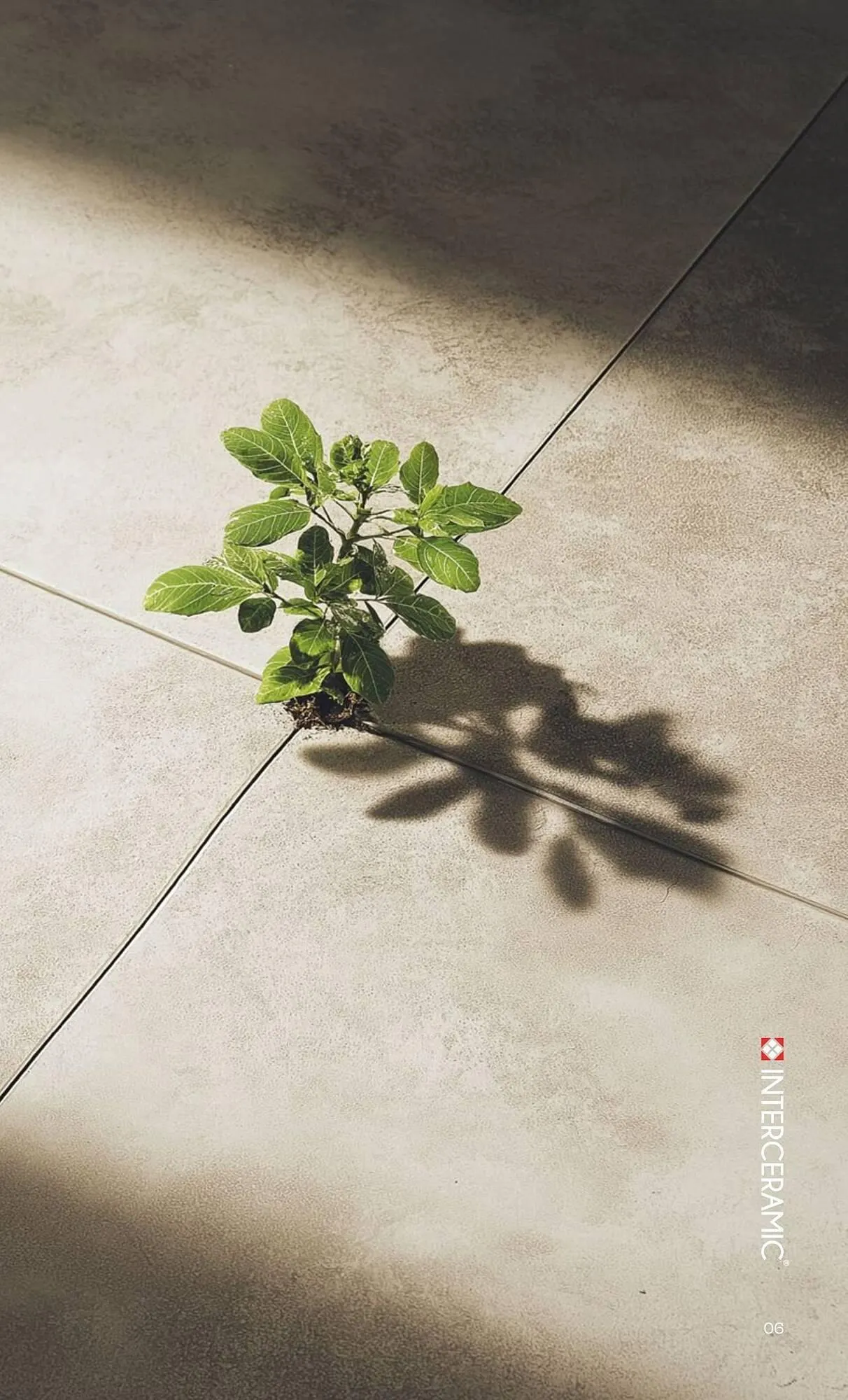 Catálogo de Catálogo Interceramic 3 de octubre al 3 de octubre 2026 - Pagina 7