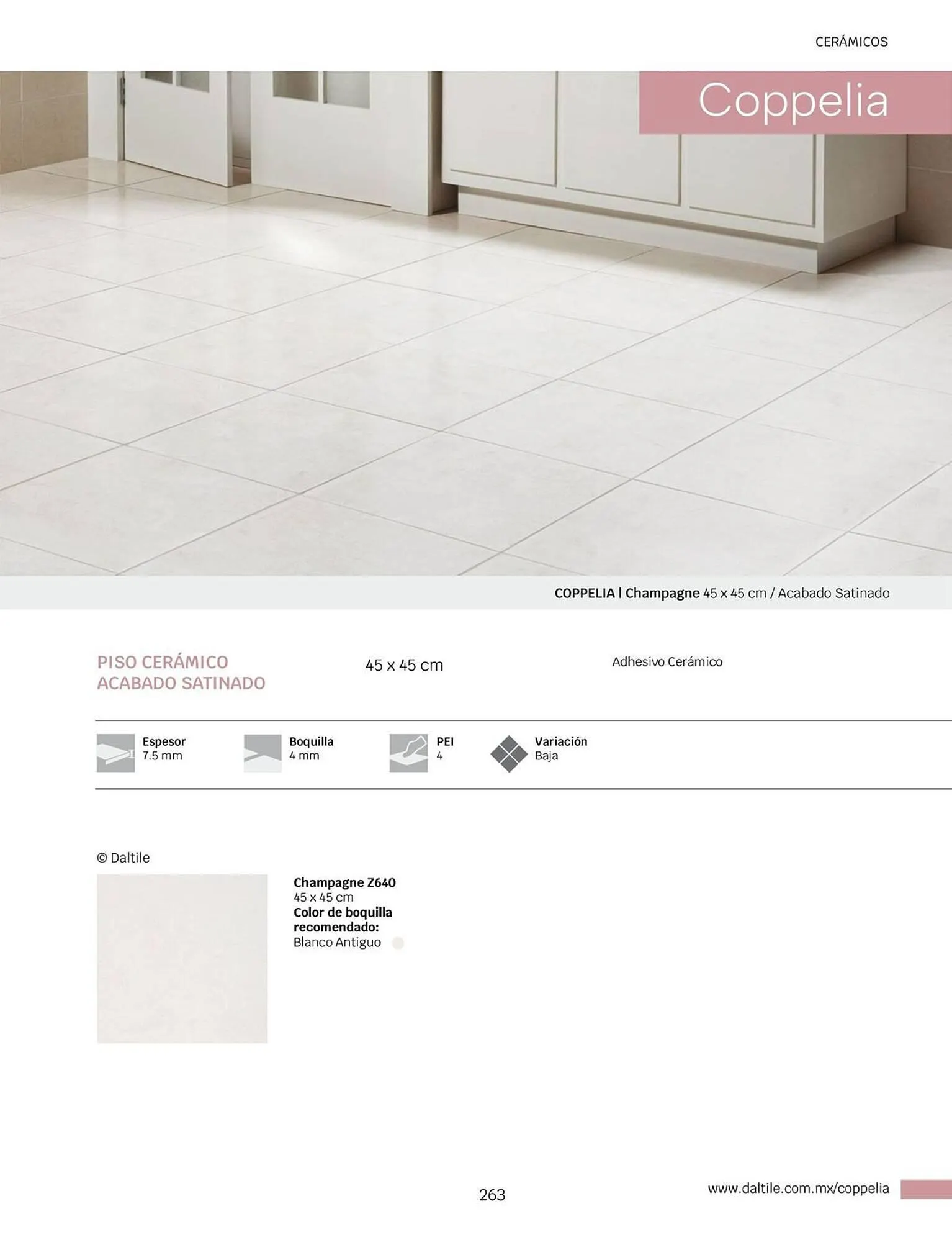 Catálogo de Catálogo Daltile 1 de enero al 31 de diciembre 2024 - Pagina 263