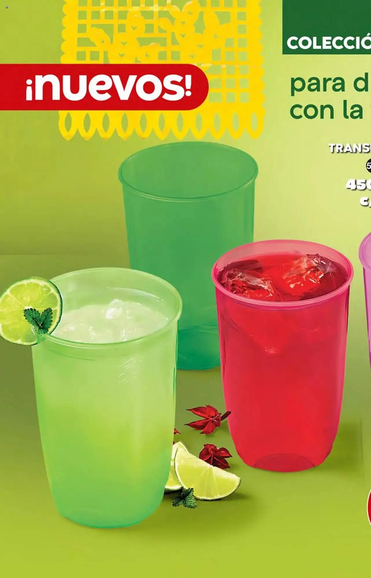 Catálogo de Catálogo Fuller 23 de julio al 27 de agosto 2025 - Pagina 212