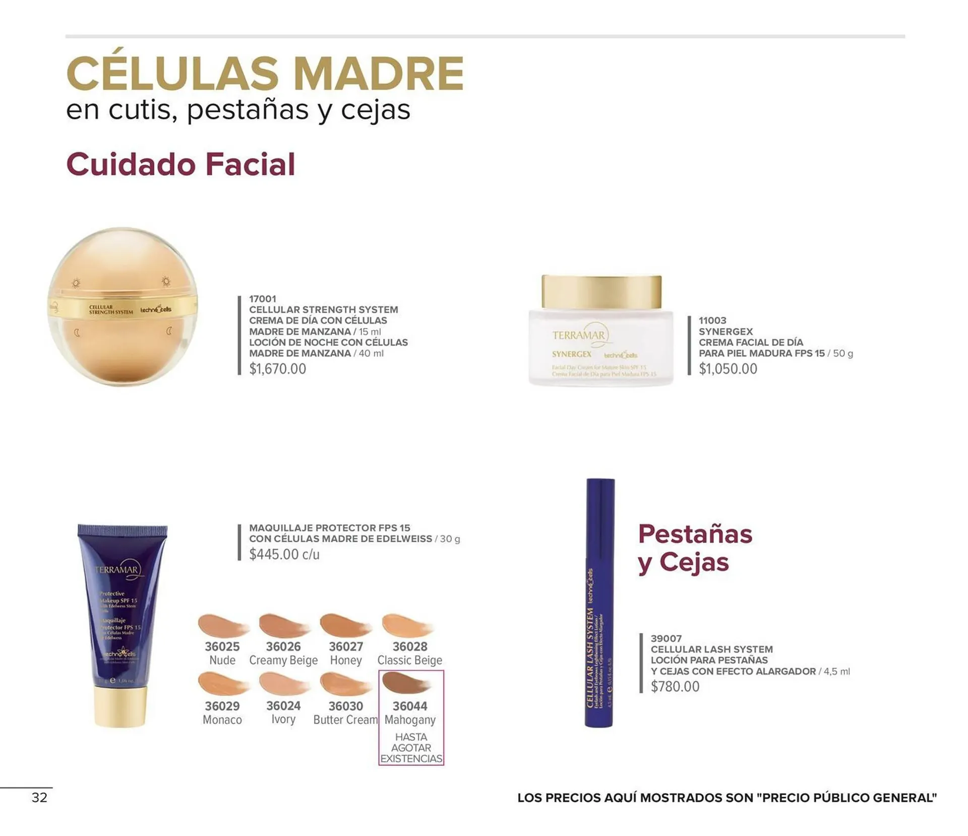 Catálogo de Catálogo Terramar Brands 1 de julio al 31 de julio 2025 - Pagina 32