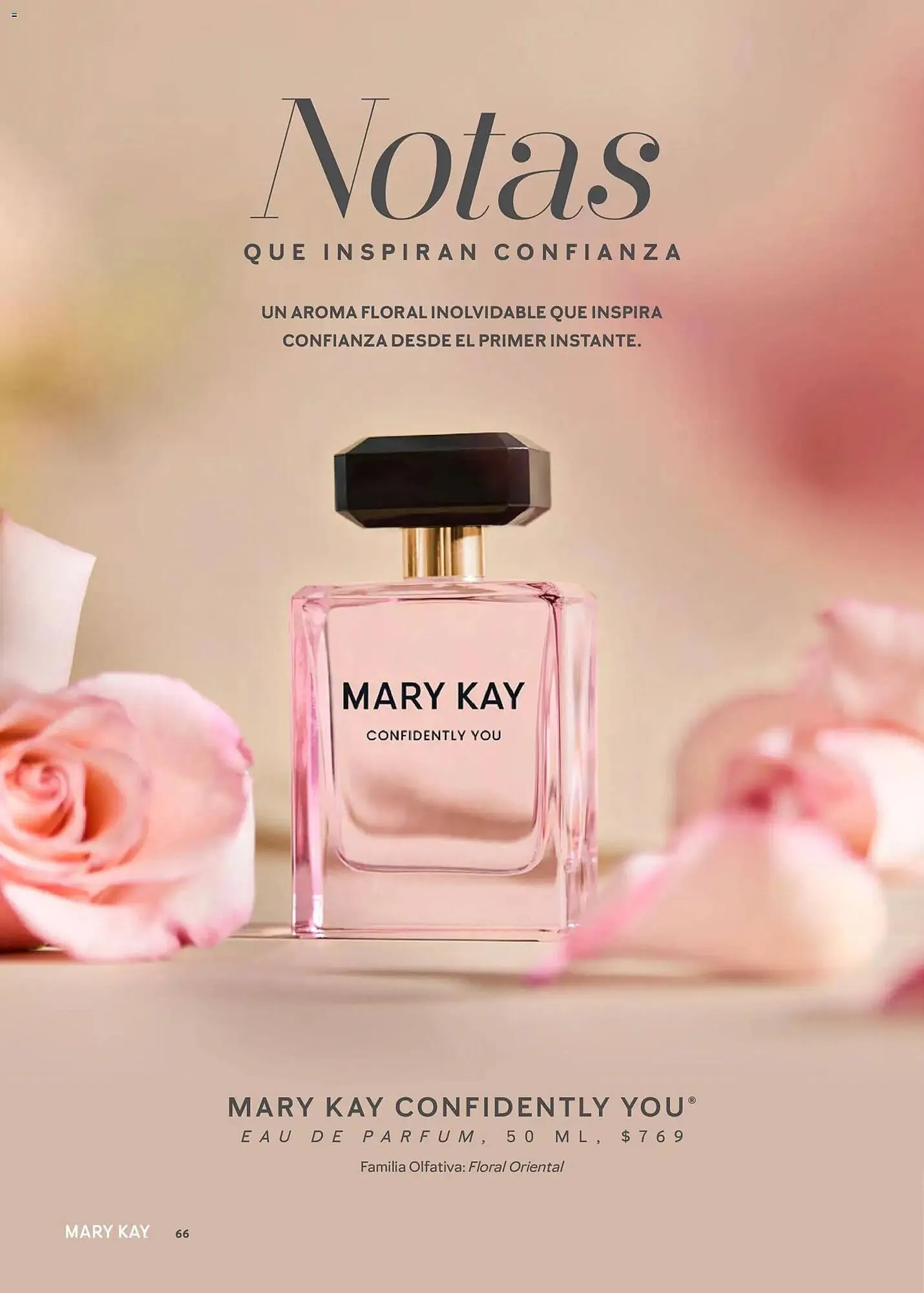 Catálogo de Catálogo Mary Kay 1 de enero al 2 de marzo 2026 - Pagina 66
