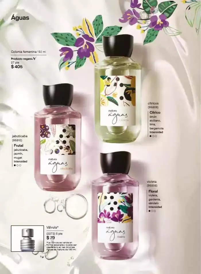 Catálogo de Revista Natura Ciclo 9 2025 1 de septiembre al 30 de septiembre 2025 - Pagina 49