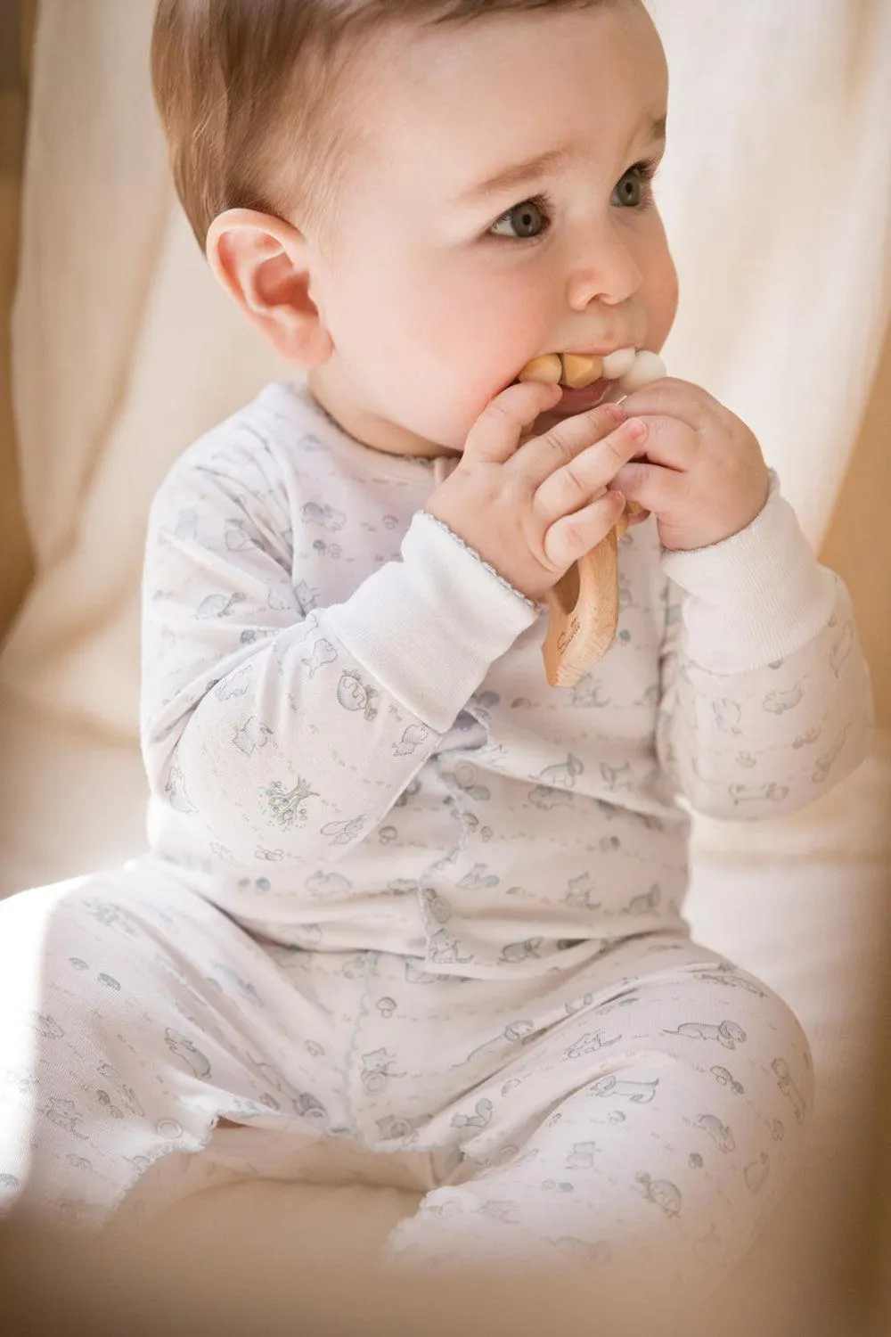 Enterito In the Woods