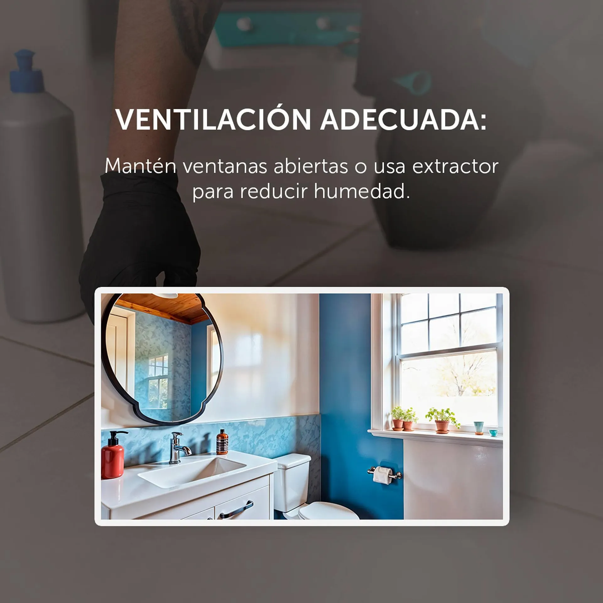 Catálogo de Catálogo Llano de la Torre 24 de junio al 25 de junio 2025 - Pagina 3